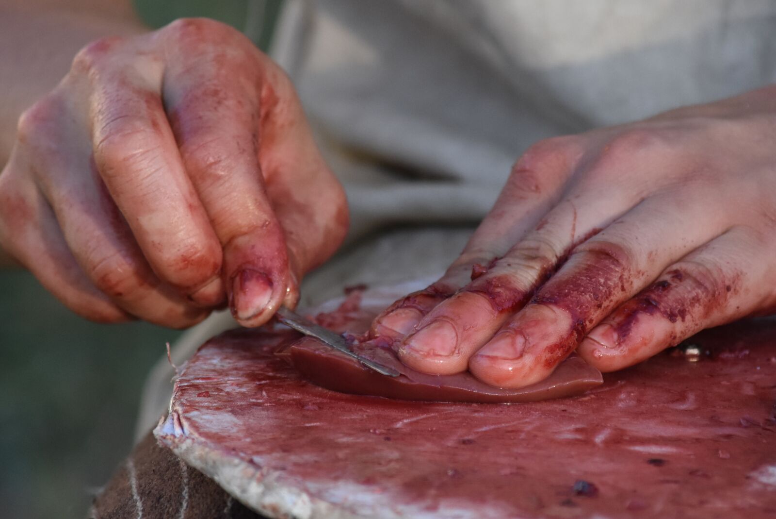 Nikon D7200 sample photo. Cutting, meat, hands photography