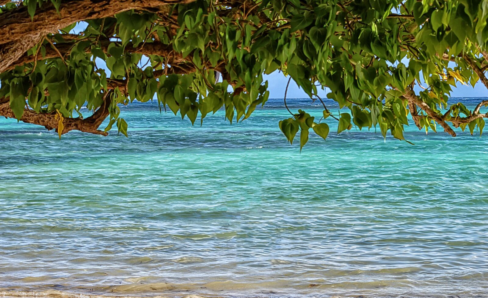 Nikon D3200 sample photo. Nature, water, summer photography