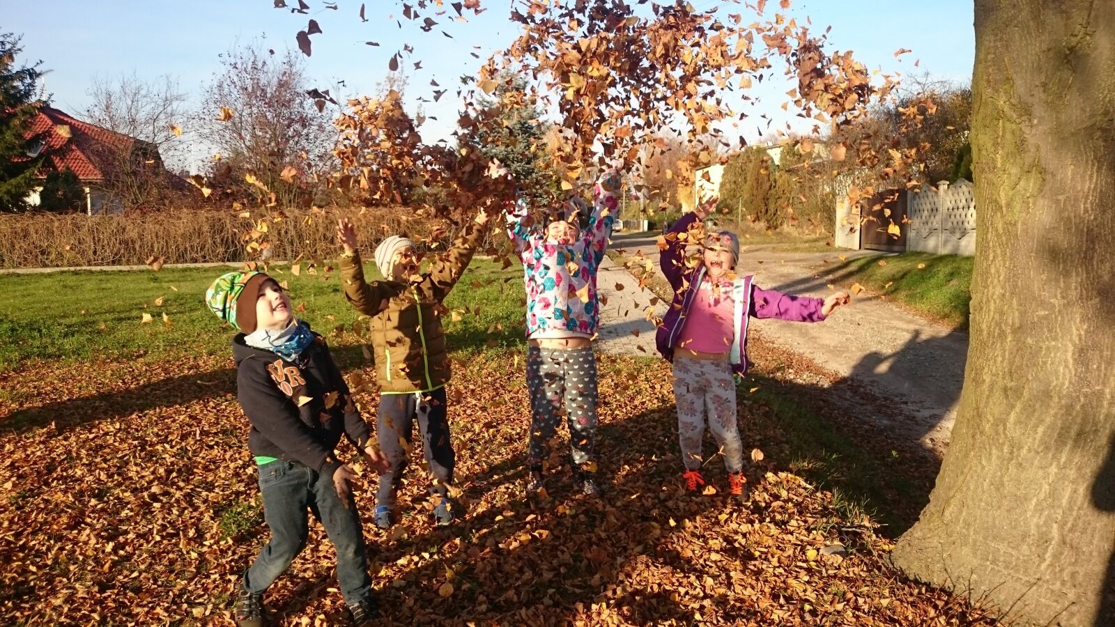 Sony Xperia Z1 sample photo. Children, autumn, foliage photography