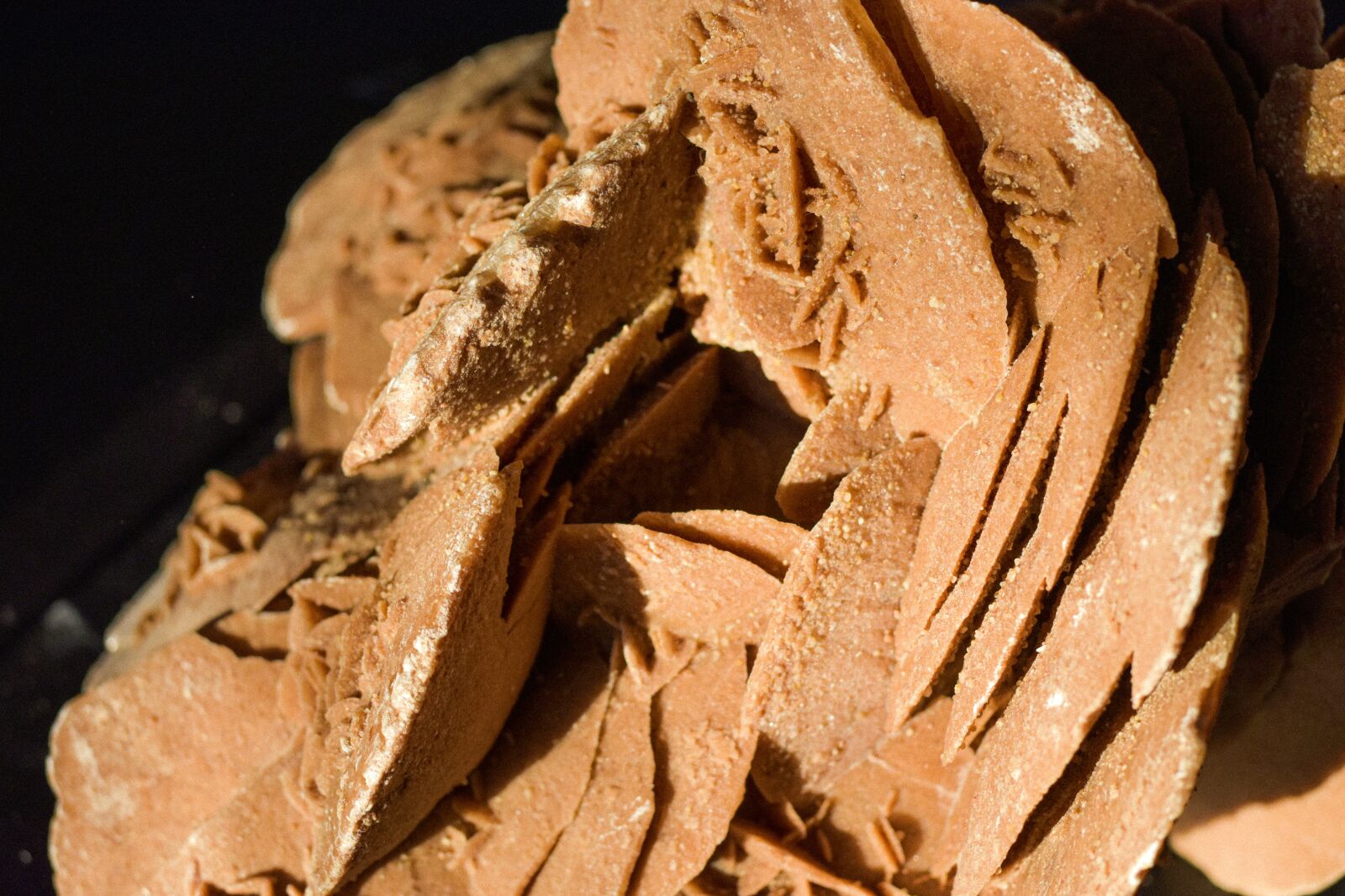 Nikon D5600 sample photo. Rose des sables, minerals photography