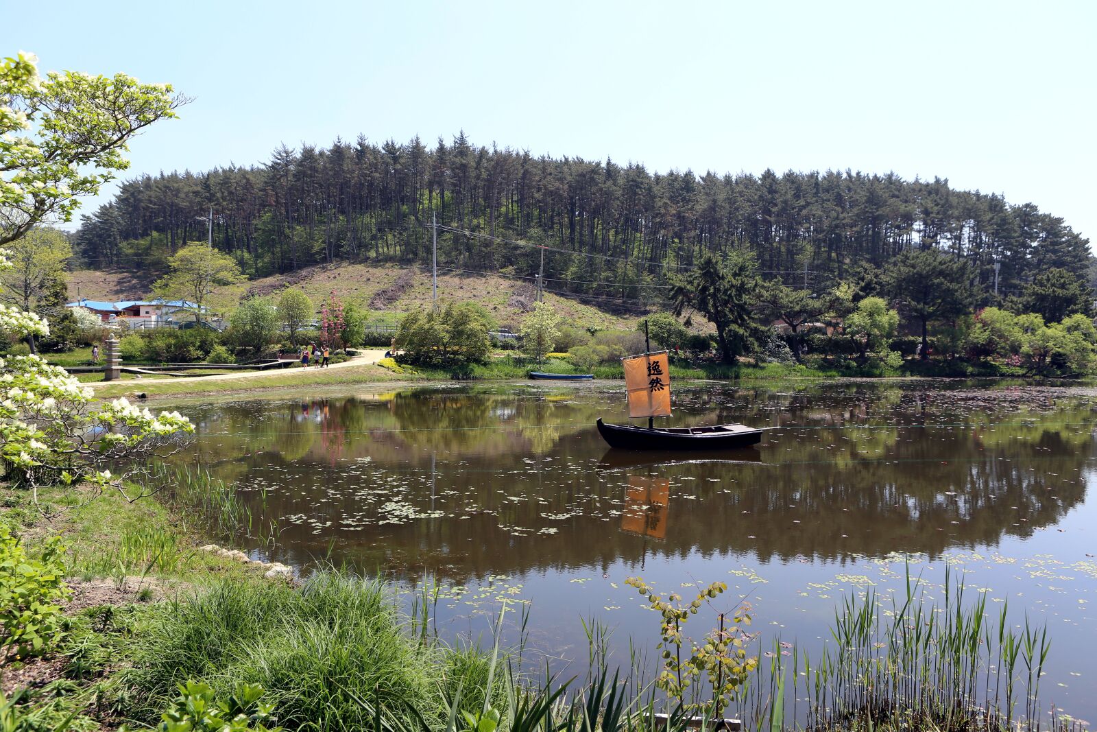 Canon EF 24-70mm F2.8L USM sample photo. Nature, river, scenery photography