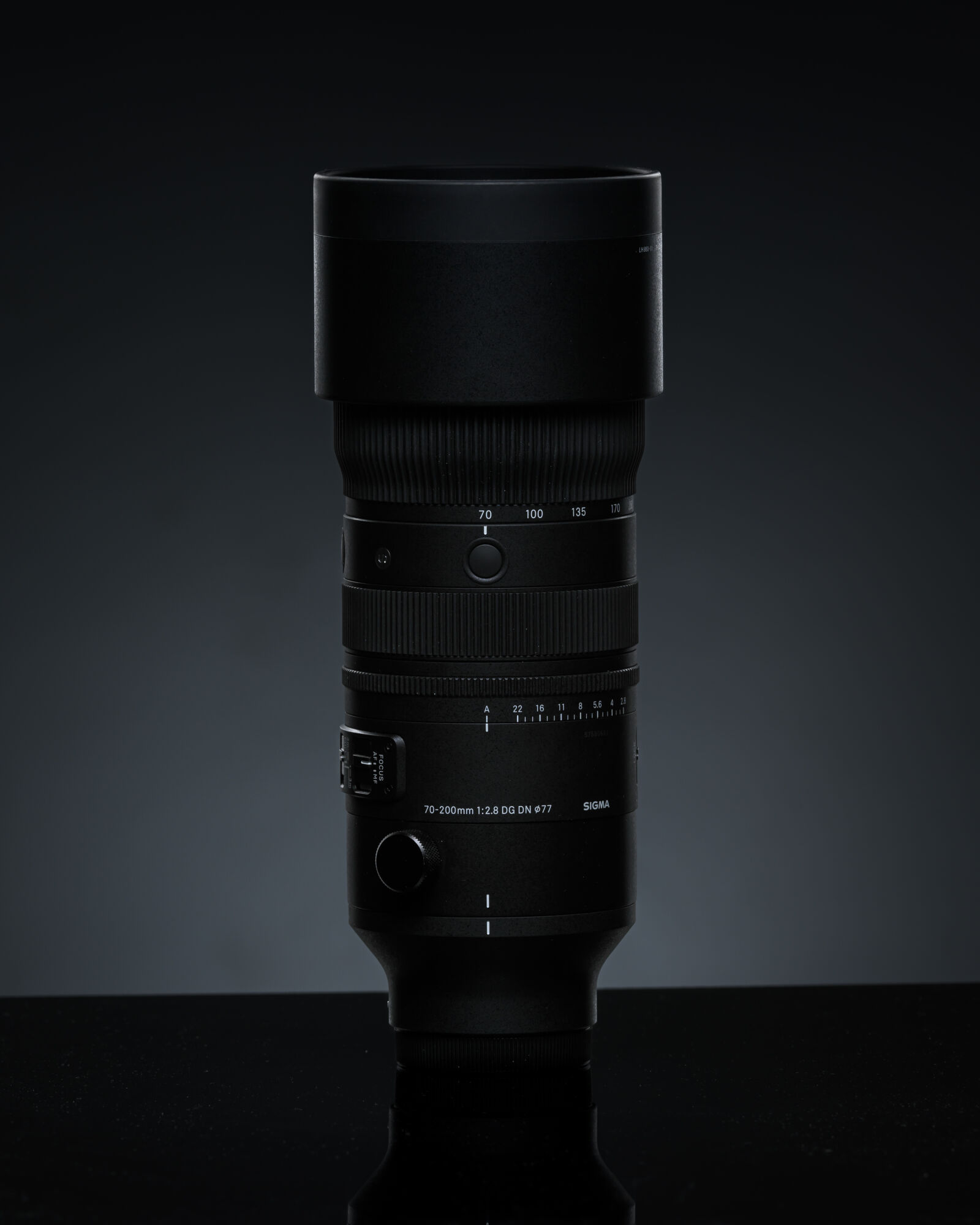 Nikon AF-S Nikkor 200-400mm F4G ED-IF VR sample photo. Sigma 70-200mm f2.8 dg photography