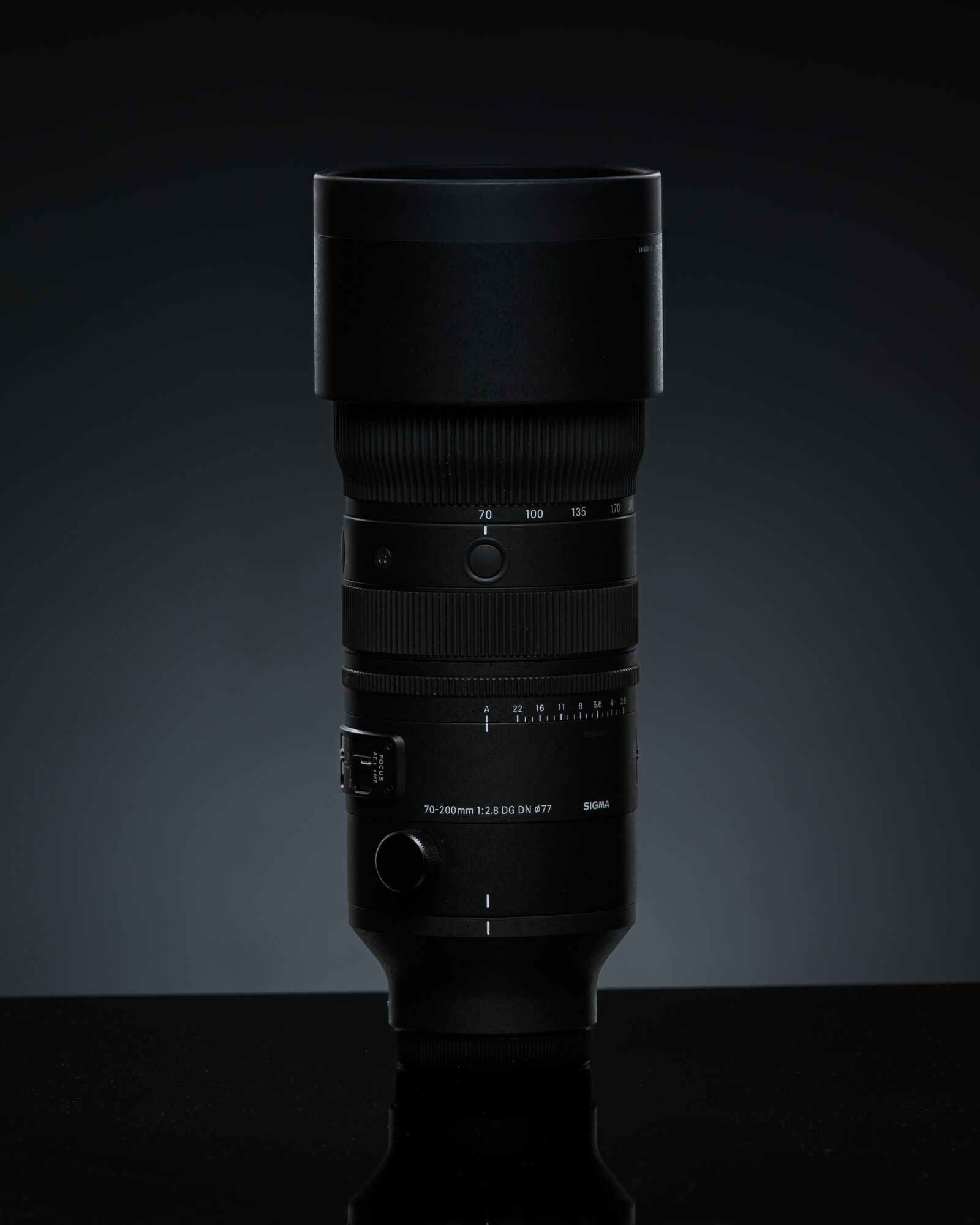 Nikon Z9 sample photo. Sigma 70-200mm f2.8 dg photography