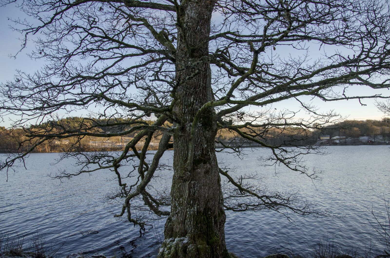 Nikon D7000 sample photo. N s castle, lerum photography