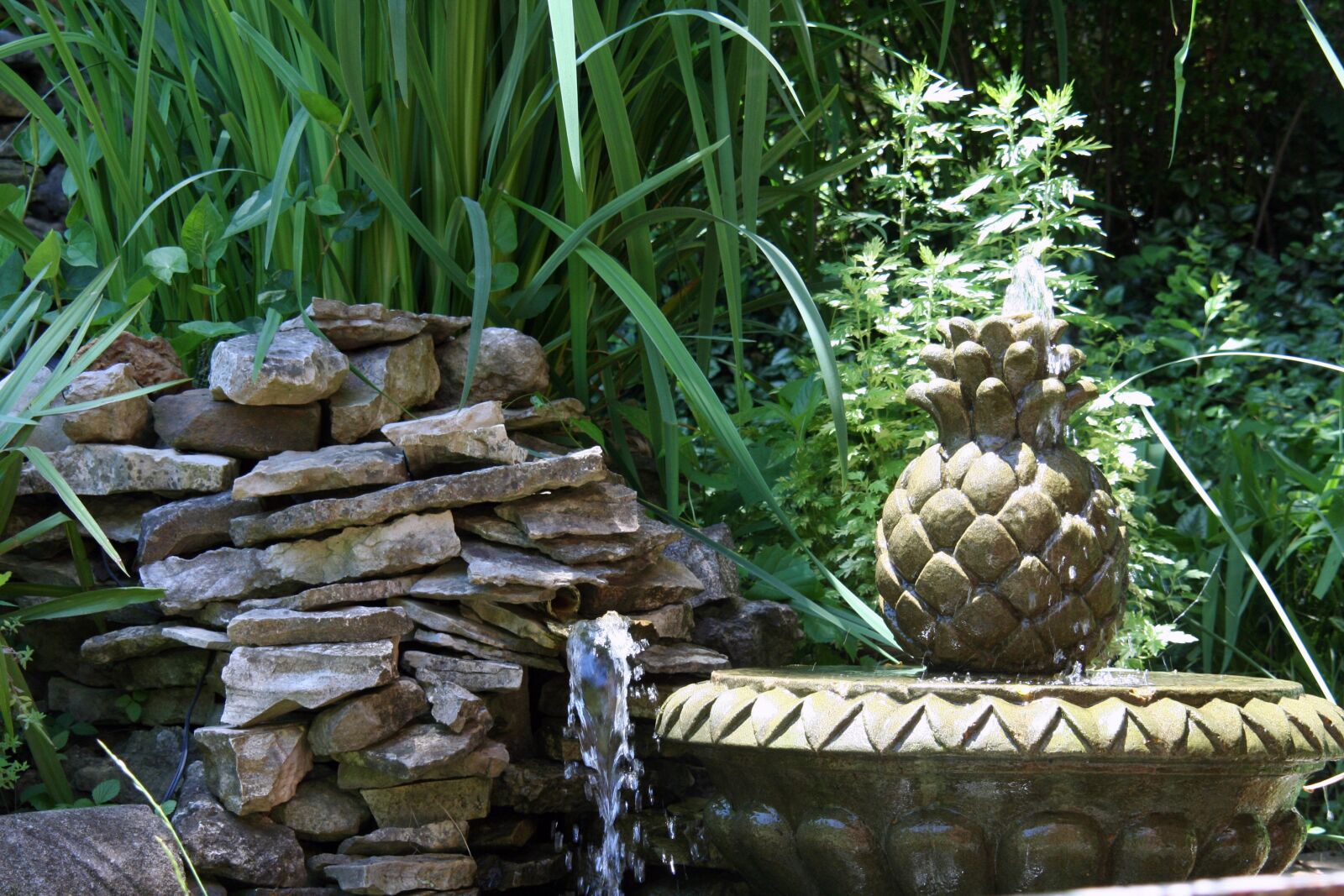 Canon EOS 350D (EOS Digital Rebel XT / EOS Kiss Digital N) sample photo. Fountain, water, park photography