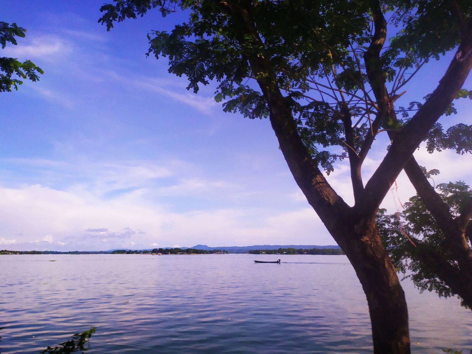 Xiaomi Redmi Note 7 sample photo. Beautiful, lake, tree photography