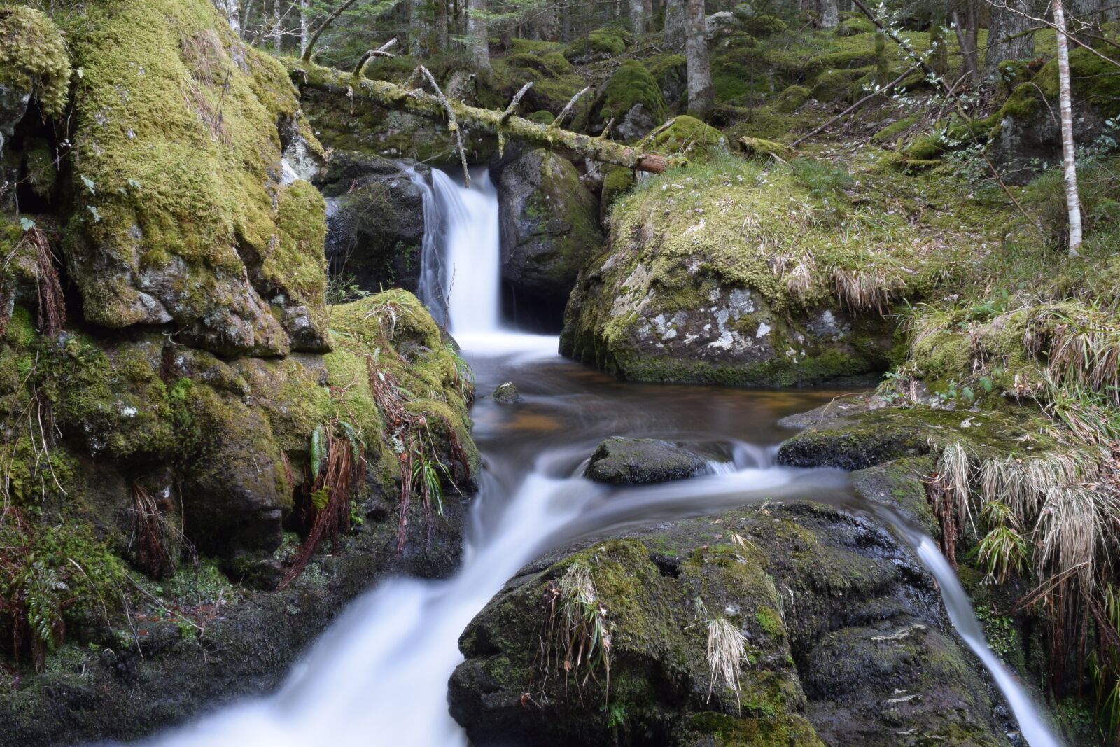 Nikon D5300 sample photo. Body of water, cascade photography