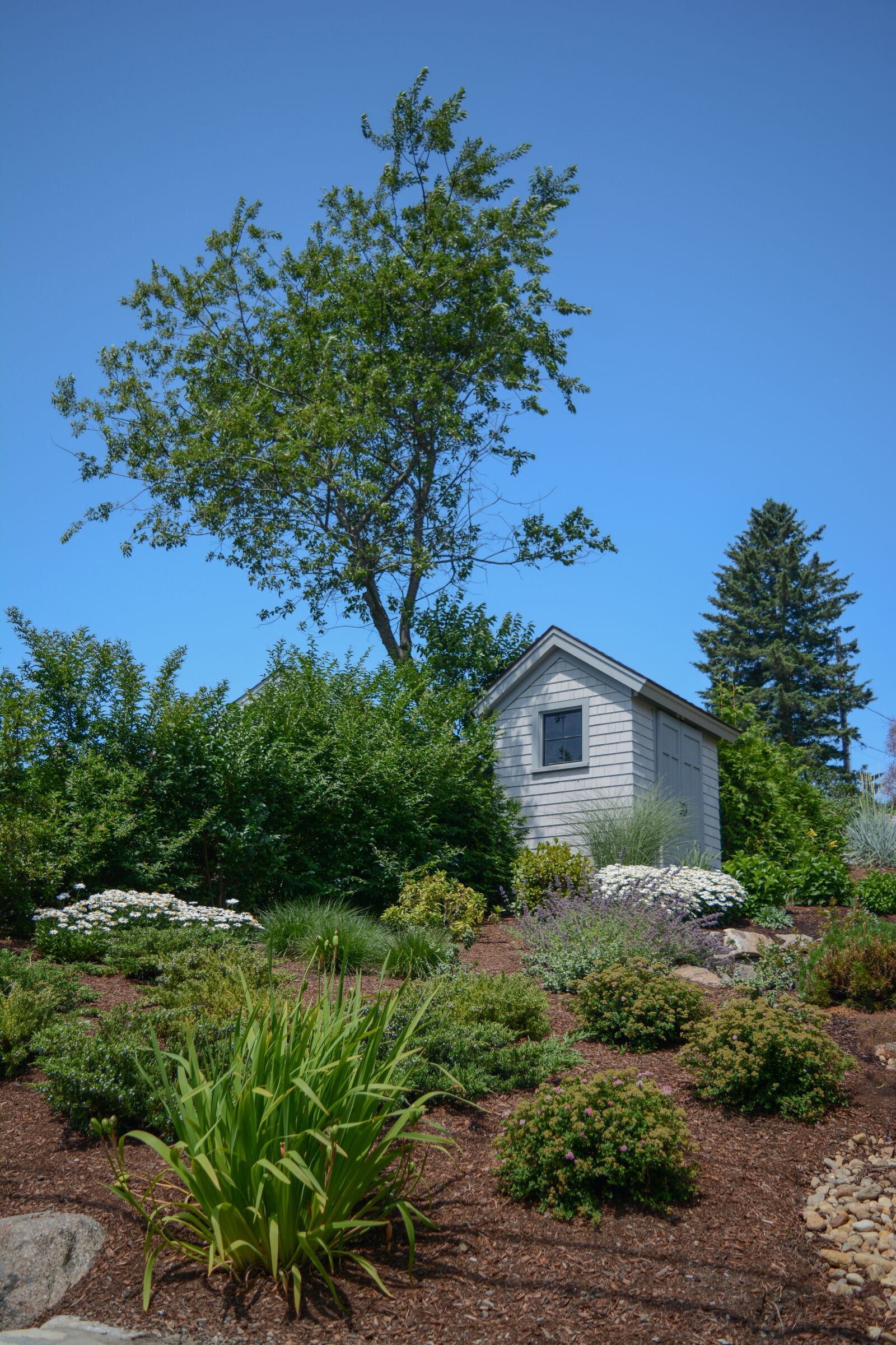 Nikon D7100 sample photo. Gloucester mass, gloucester, ma photography