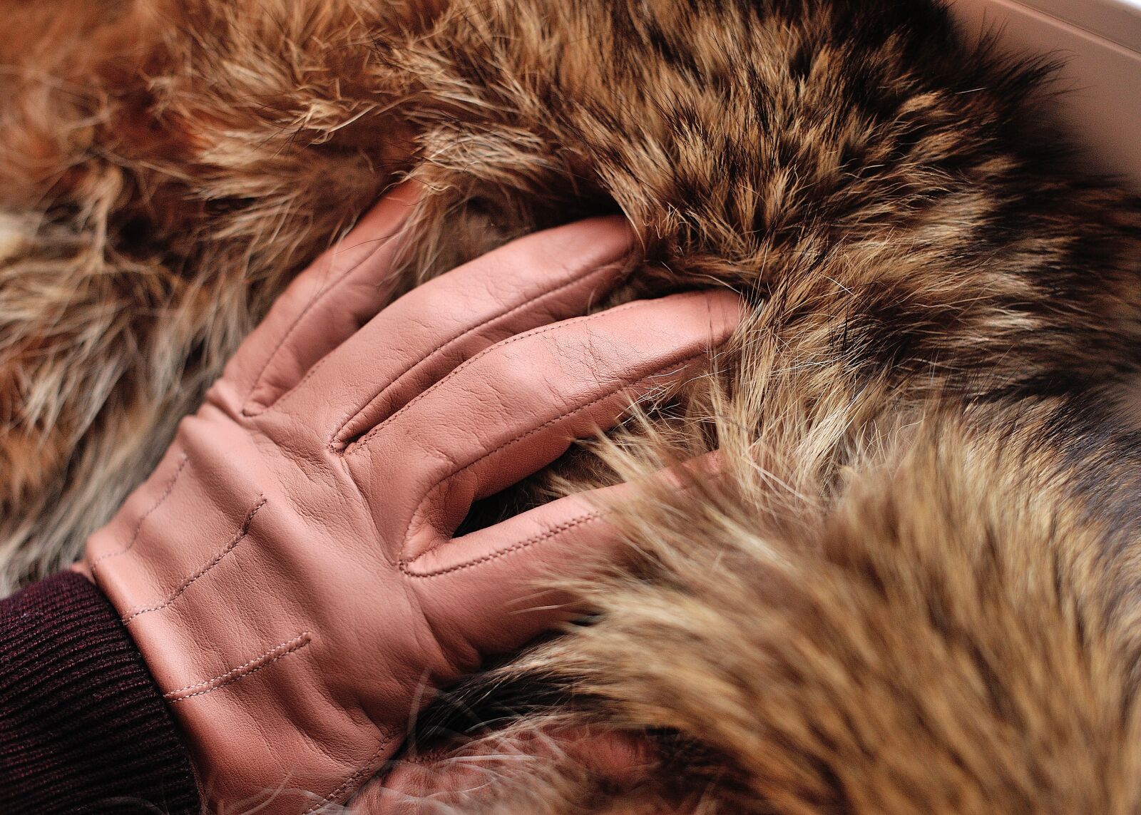 Nikon D3S sample photo. Tan gloves, gloves, leather photography