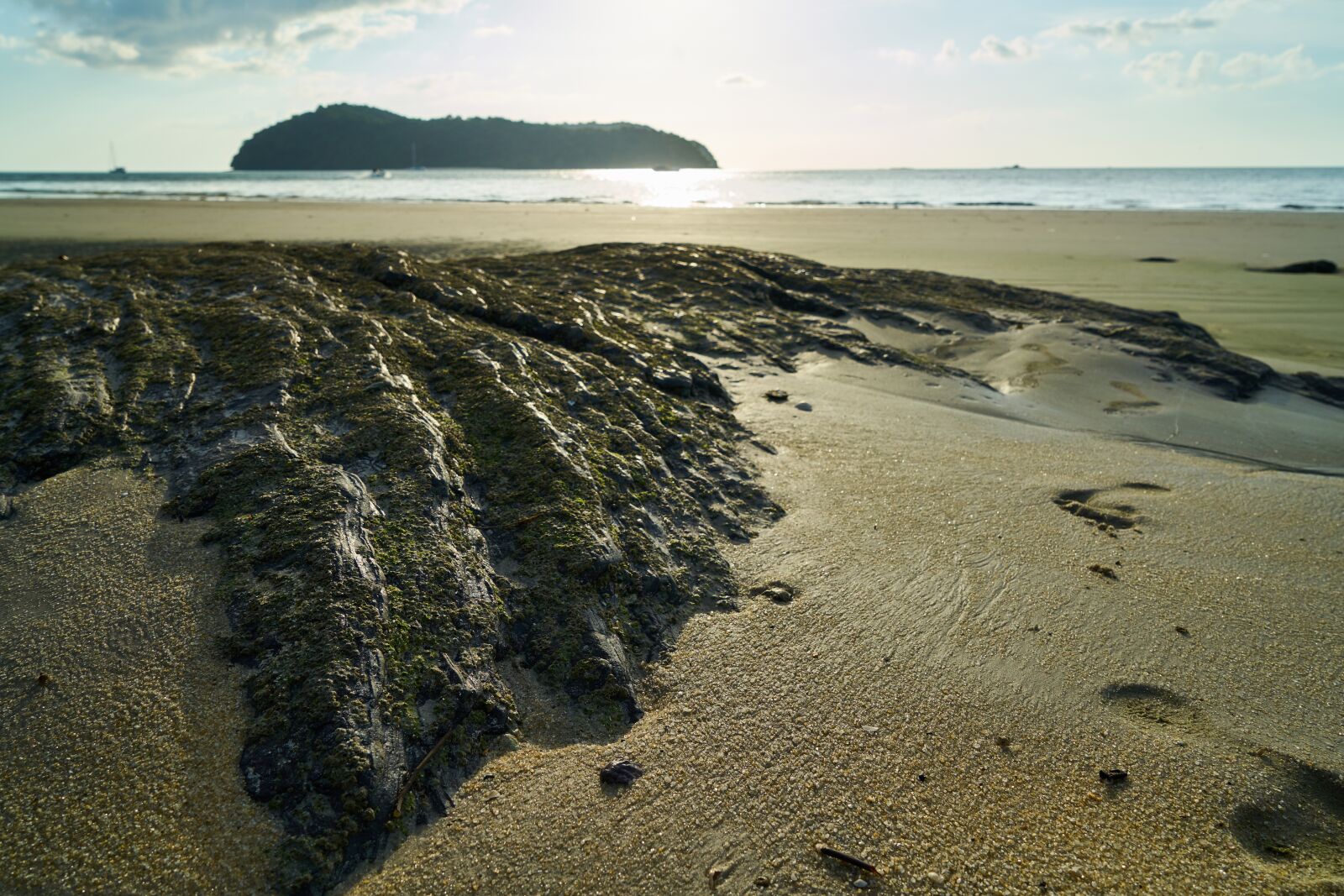 Sony a7R II sample photo. Beach, marine, nature photography