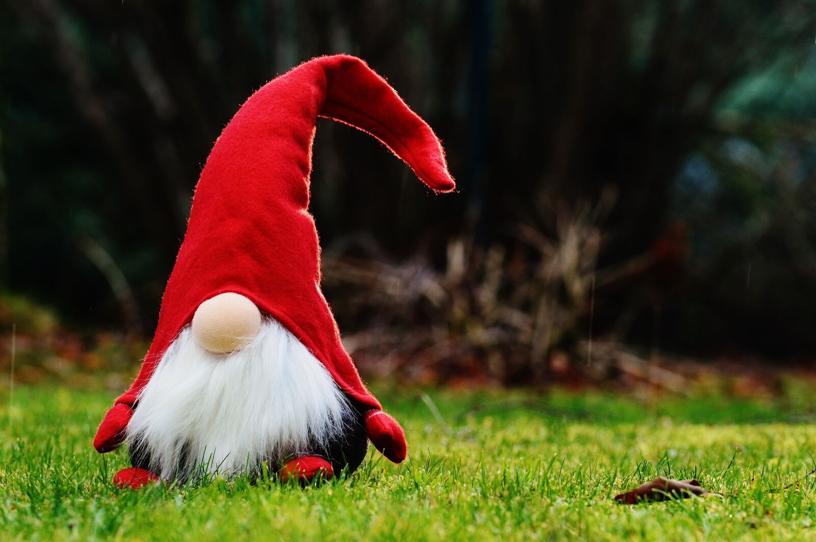 Nikon D3200 sample photo. Imp, funny, cute photography