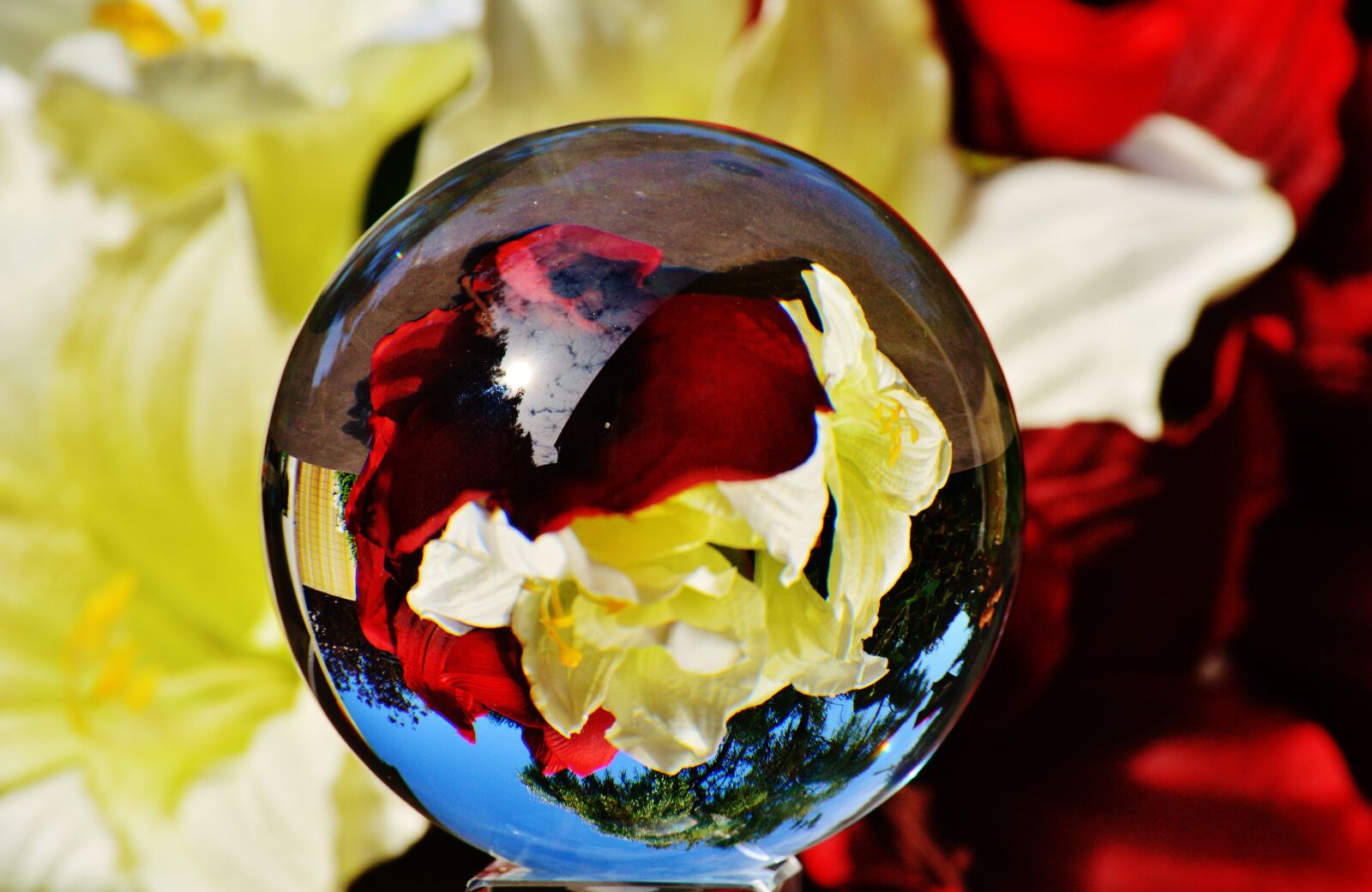 Nikon D3200 sample photo. Glass ball, ball, mirroring photography