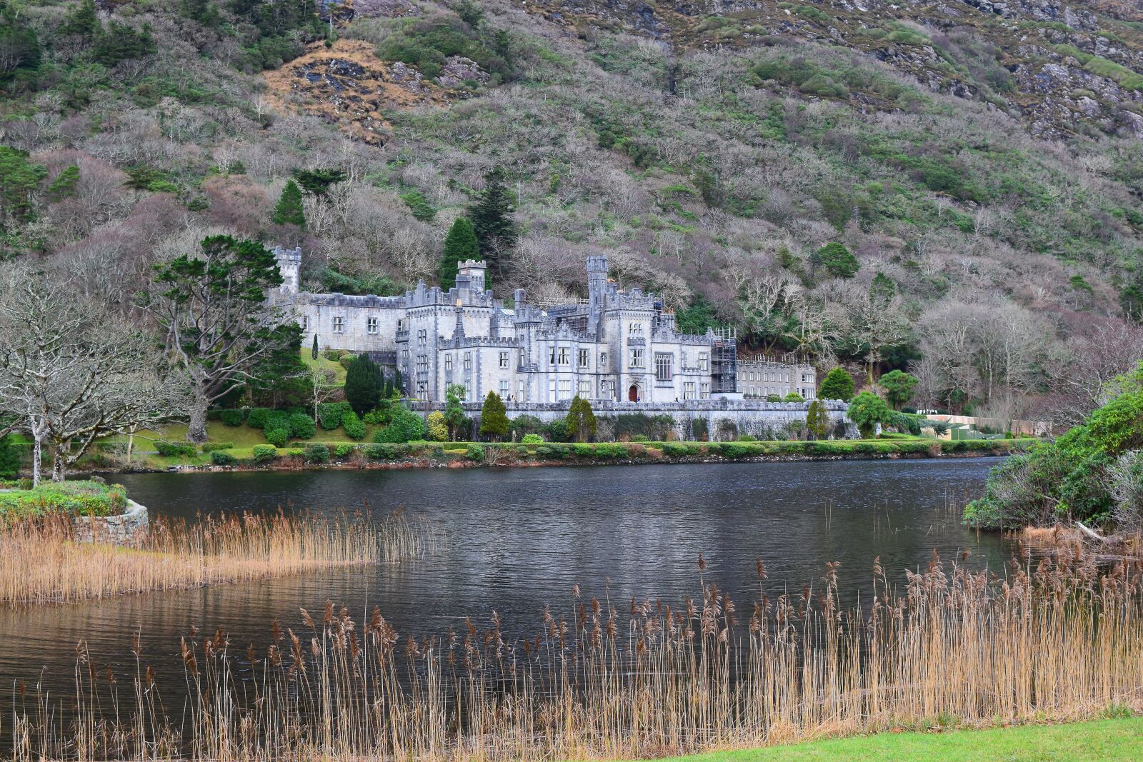Nikon D5300 sample photo. Castle, ireland, places of photography