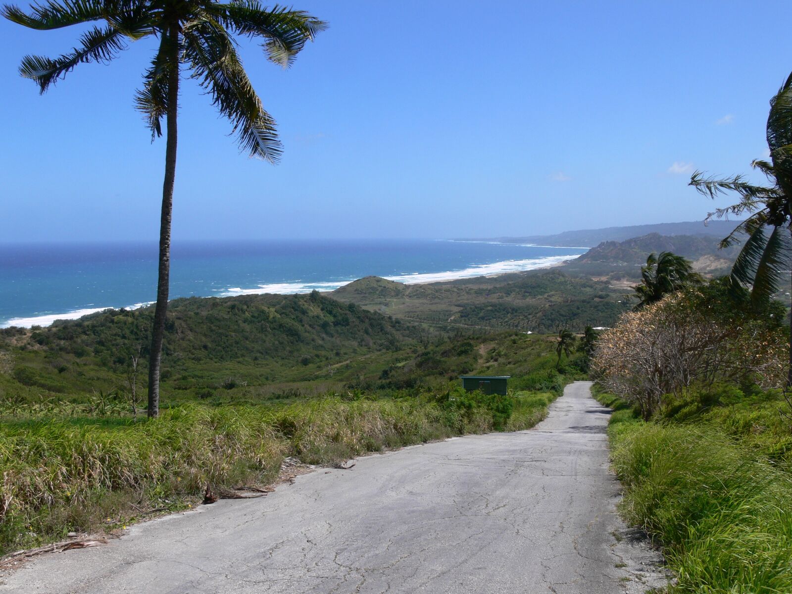Panasonic DMC-FZ30 sample photo. Road, beach, tropical photography