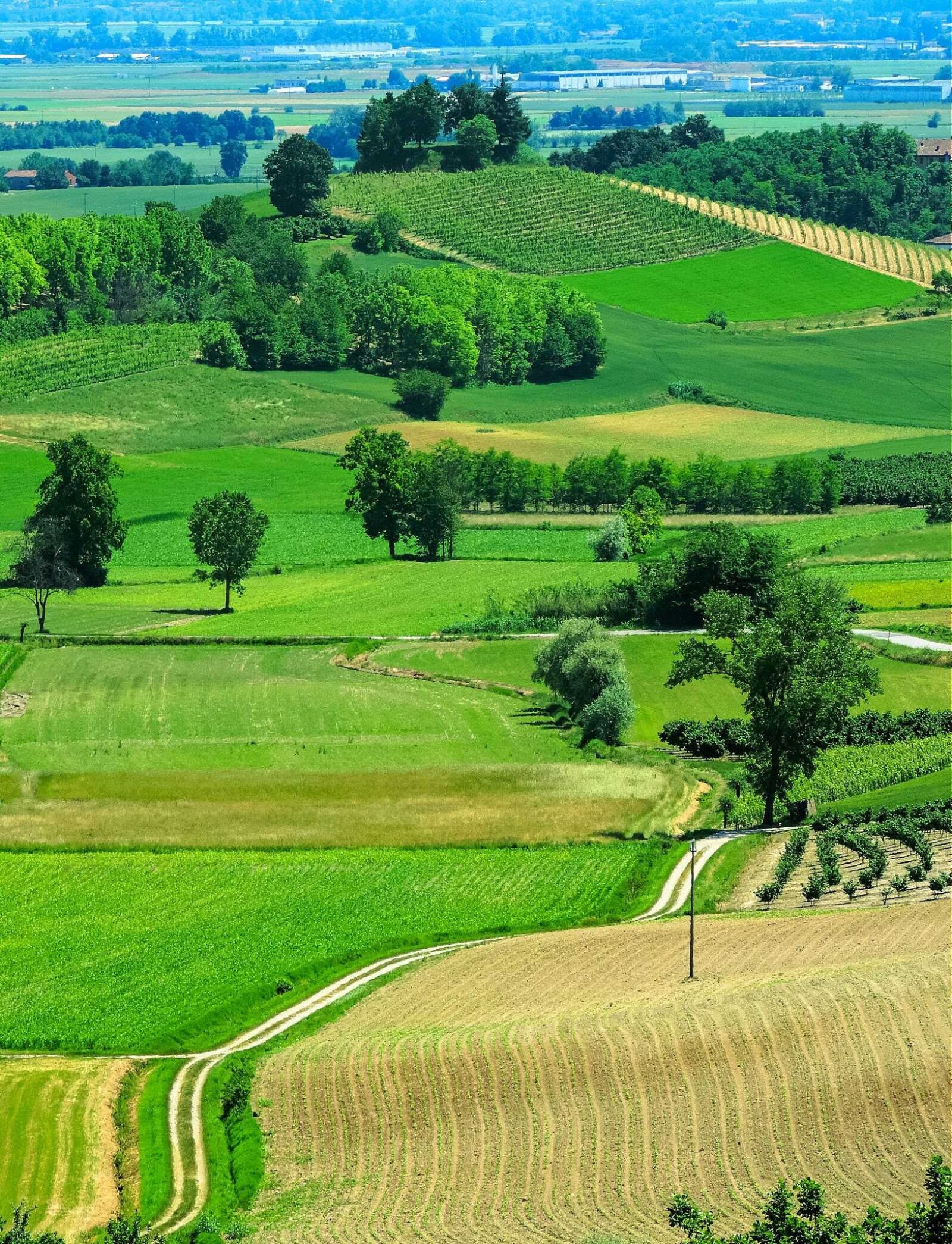 Nikon Coolpix P520 sample photo. Monferrato, cuccaro, piemonte photography