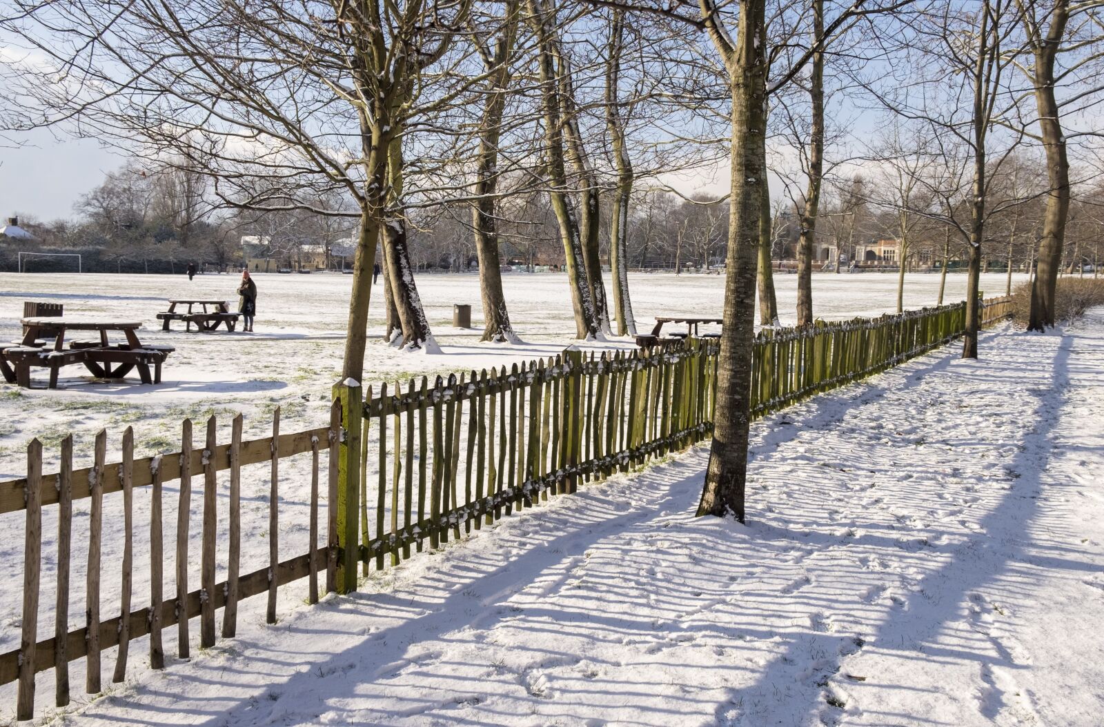 Fujifilm X-T1 sample photo. Winter, snow, cold photography