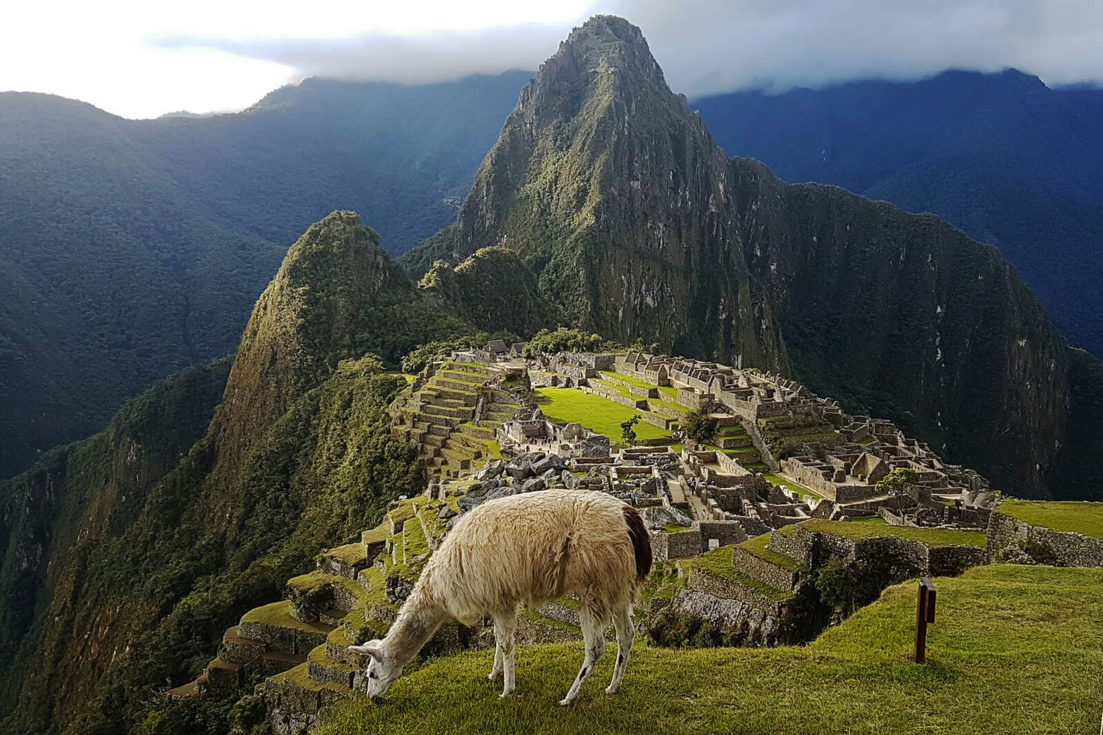 Samsung Galaxy S7 Edge sample photo. Machu picchu, lama, peru photography