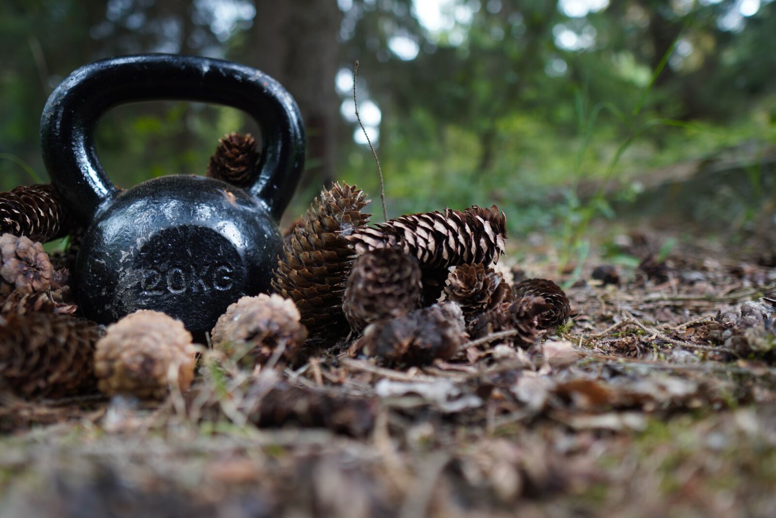 Sony a6400 + Sigma 16mm F1.4 DC DN | C sample photo. Carnivore, kettlebell, trening photography
