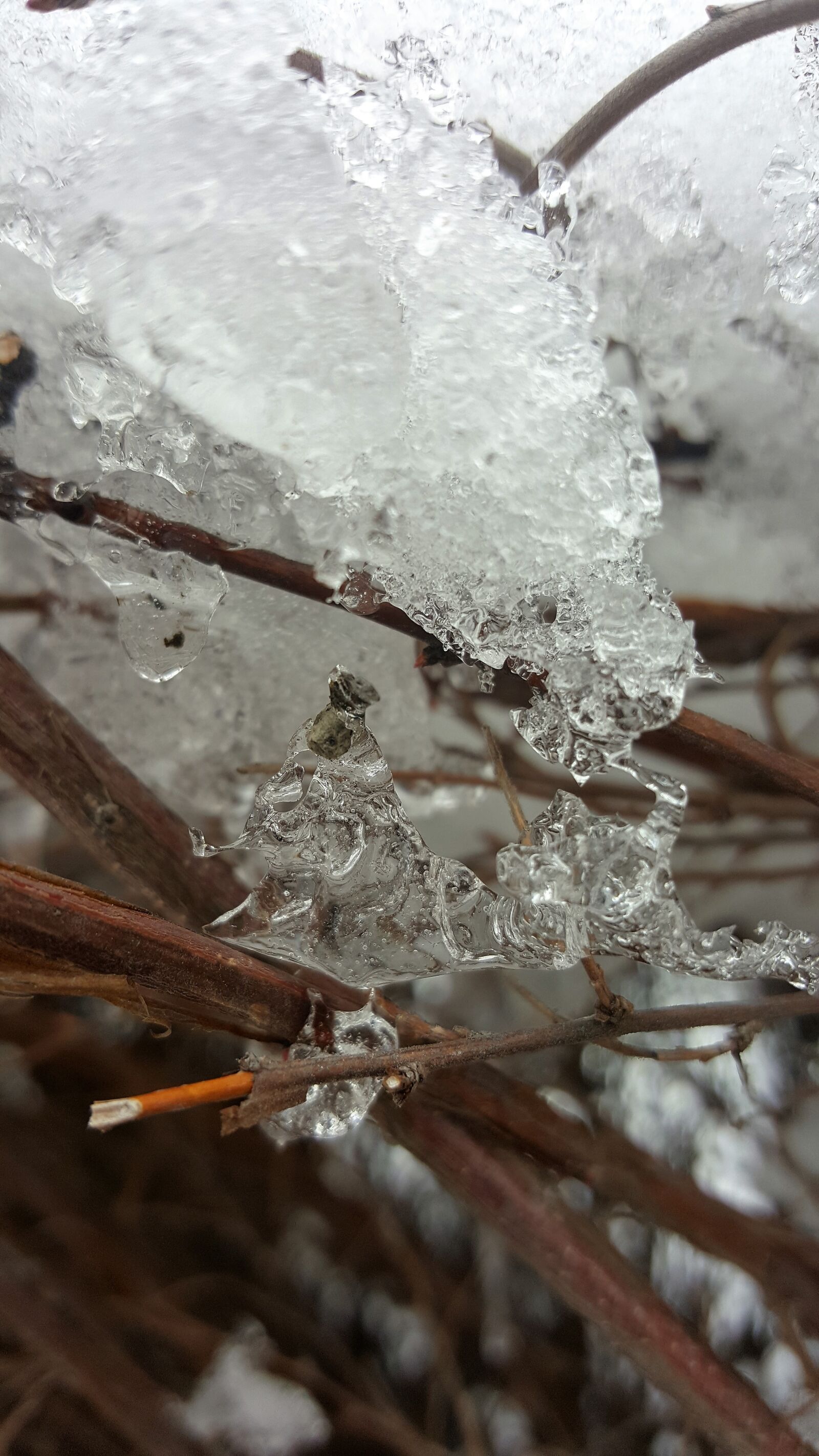 Samsung Galaxy S6 sample photo. Winter, ice form, white photography