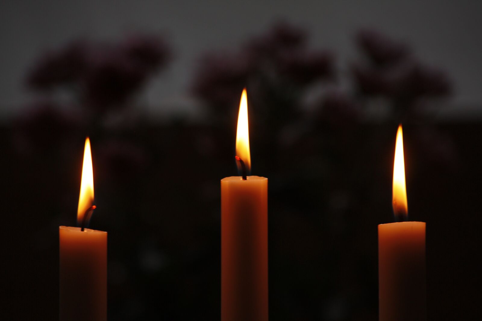 Canon EOS 450D (EOS Rebel XSi / EOS Kiss X2) sample photo. Candle, flames, christmas photography