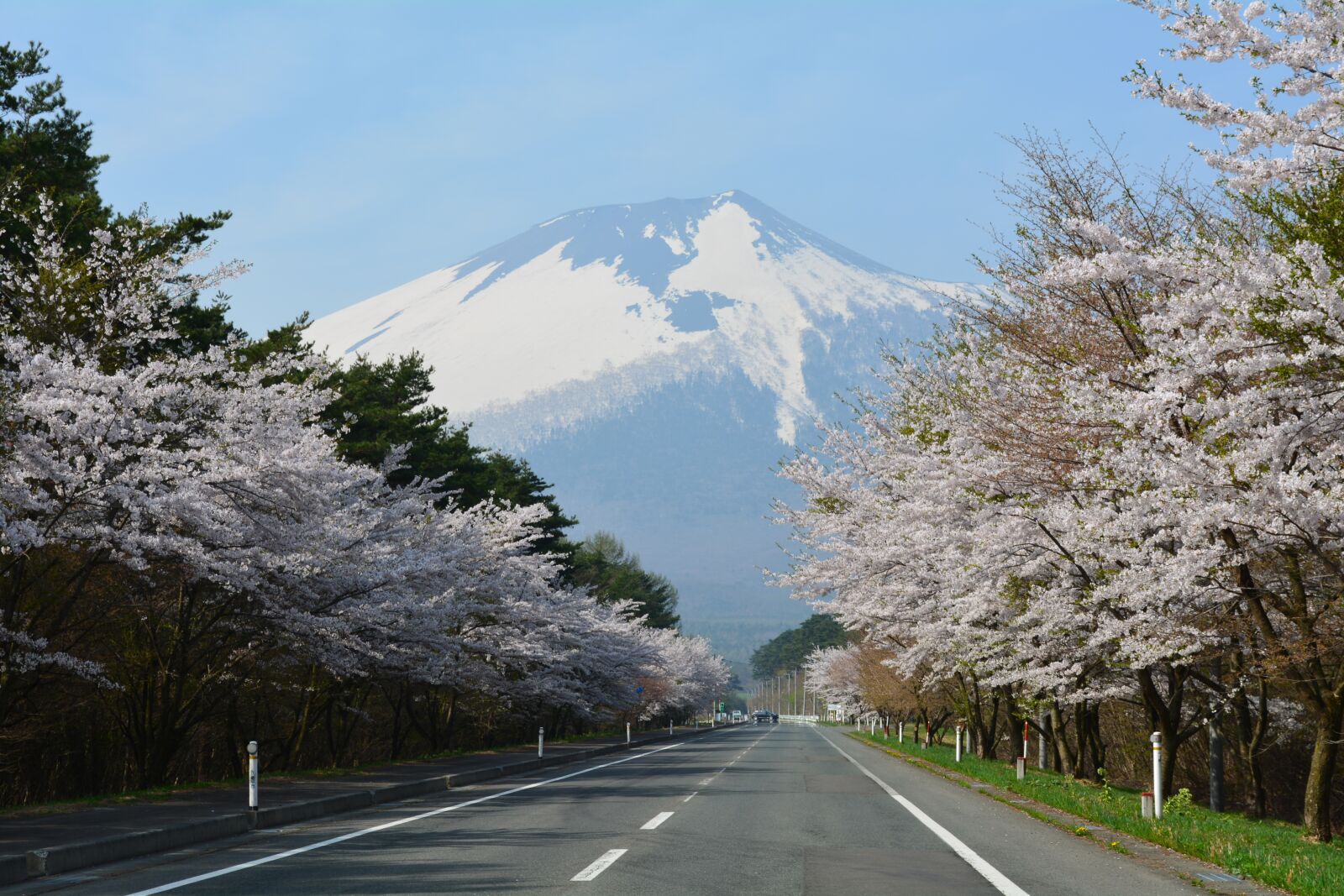 Nikon D5200 sample photo. Cherry blossoms, corridor, mountain photography