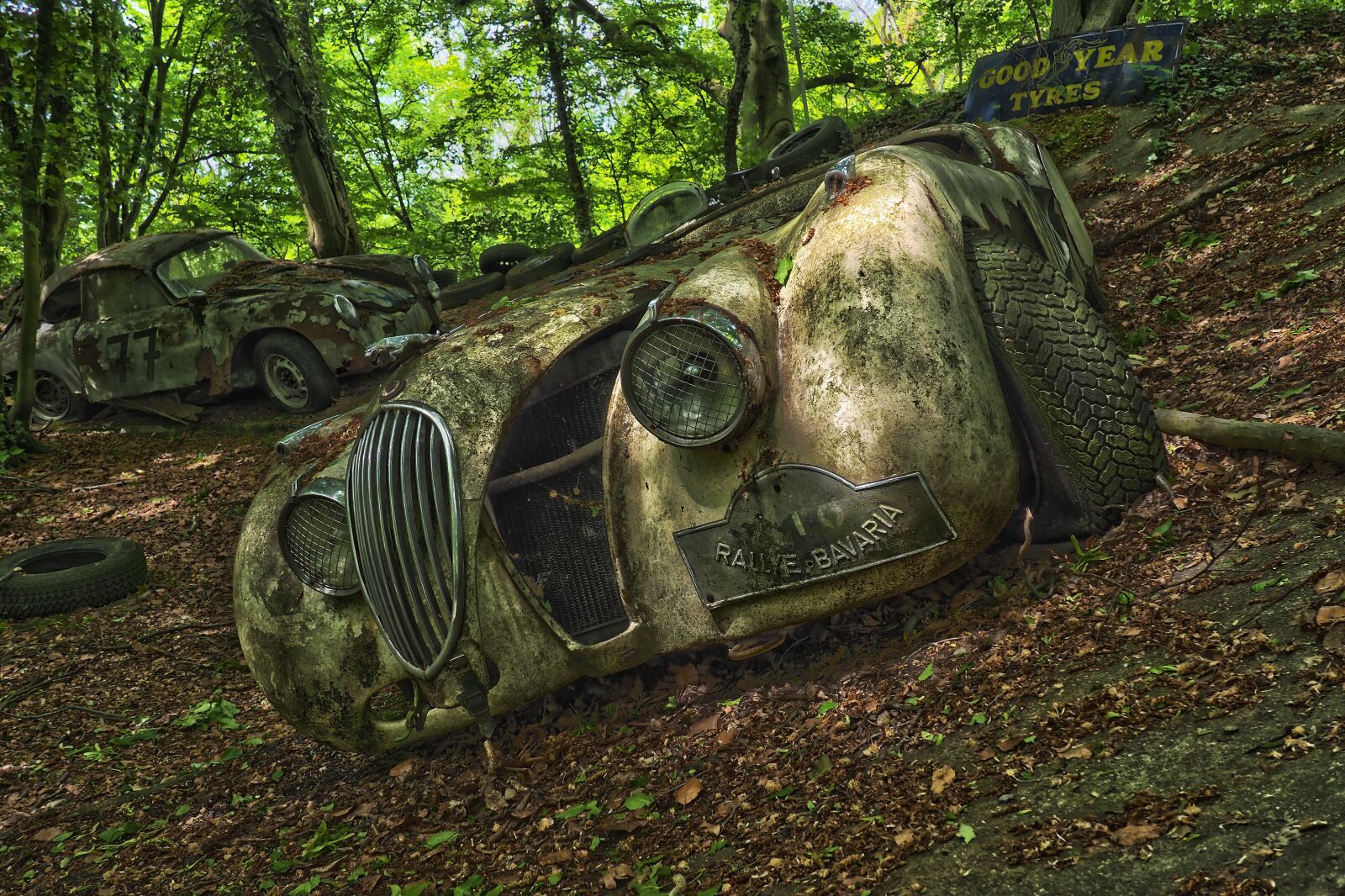 Olympus OM-D E-M10 sample photo. Auto, car cemetery, oldtimer photography