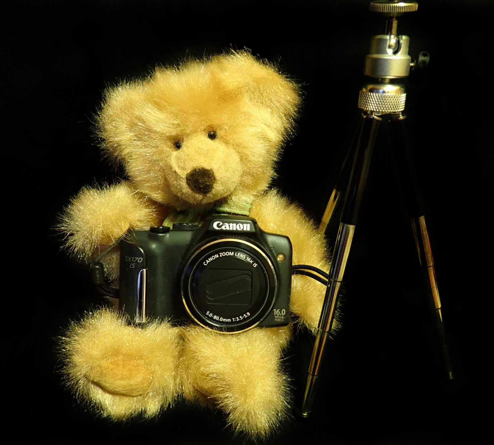 Olympus TG-5 sample photo. Teddy, photography, toy photography