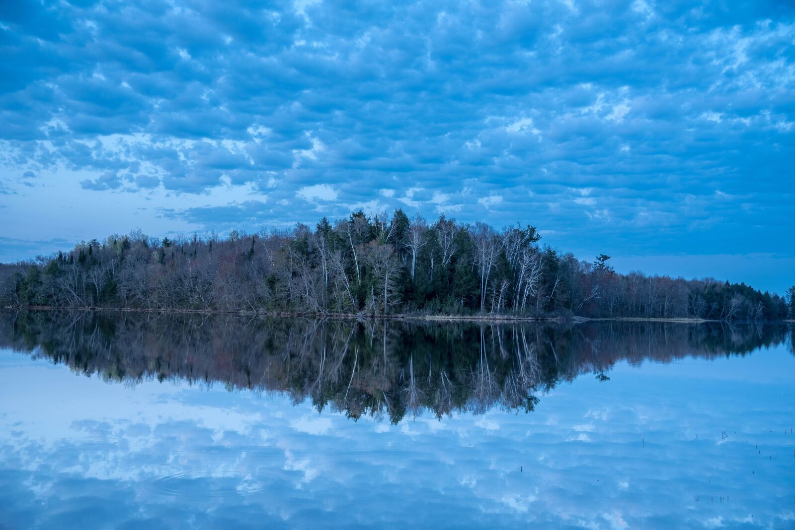 Nikon D750 sample photo. Blue, sky, clouds photography