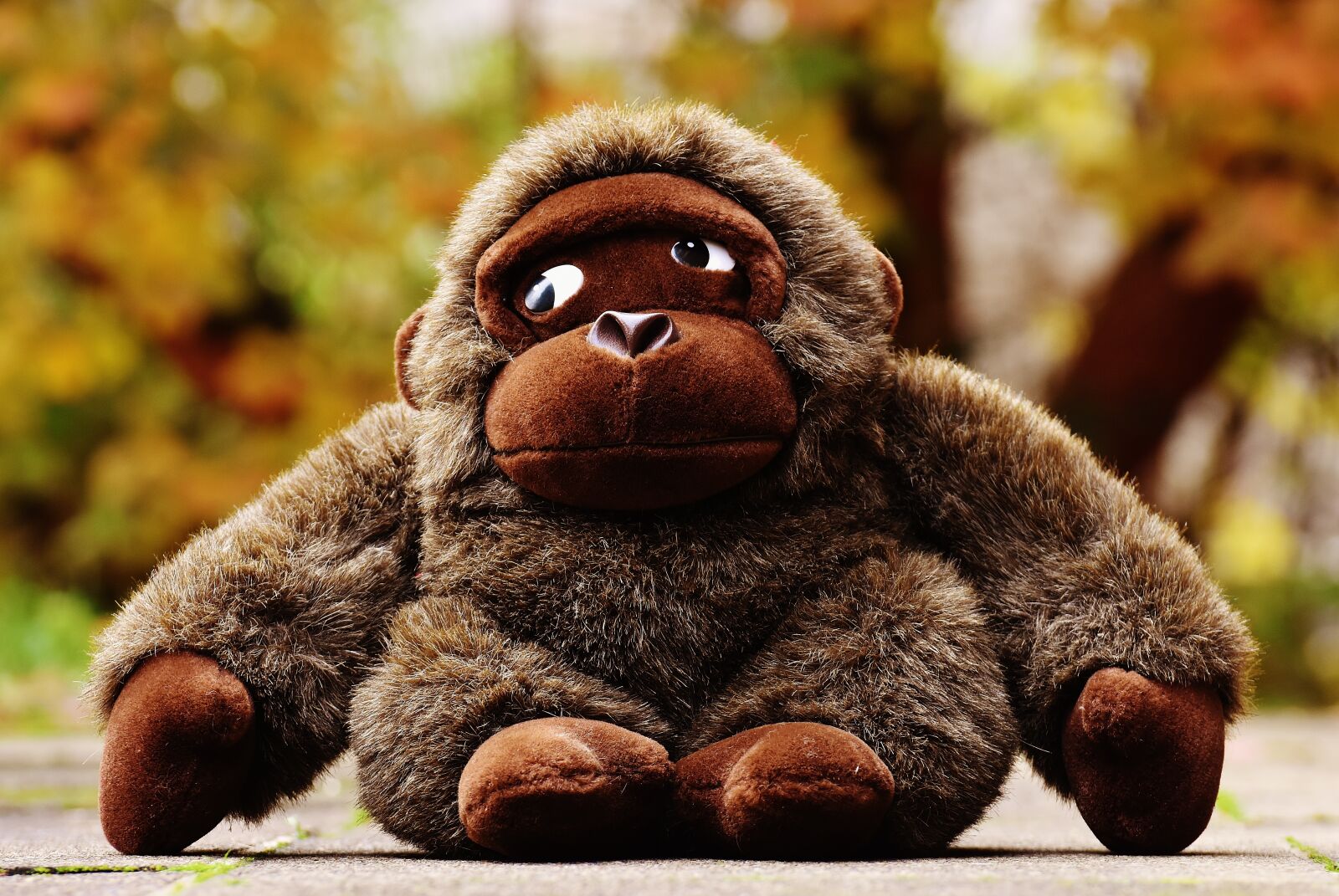 Nikon D7200 sample photo. Monkey, gorilla, toys photography