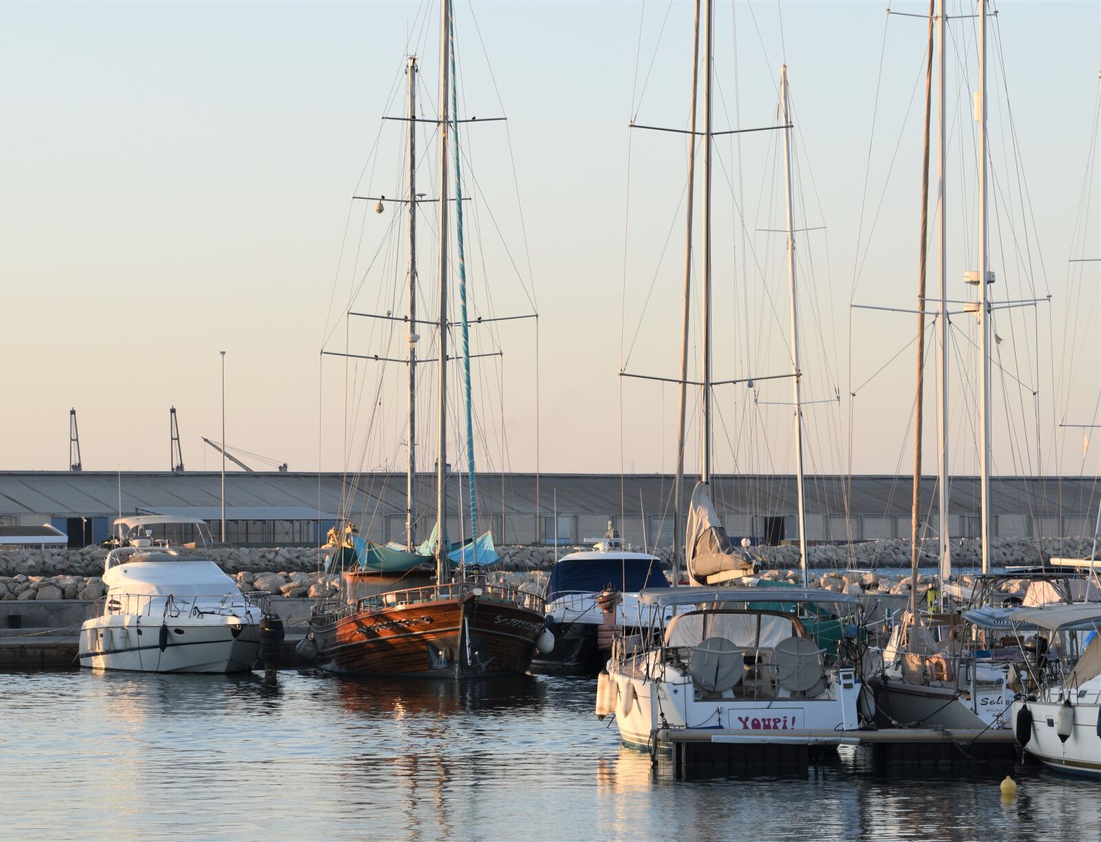 Nikon D5600 sample photo