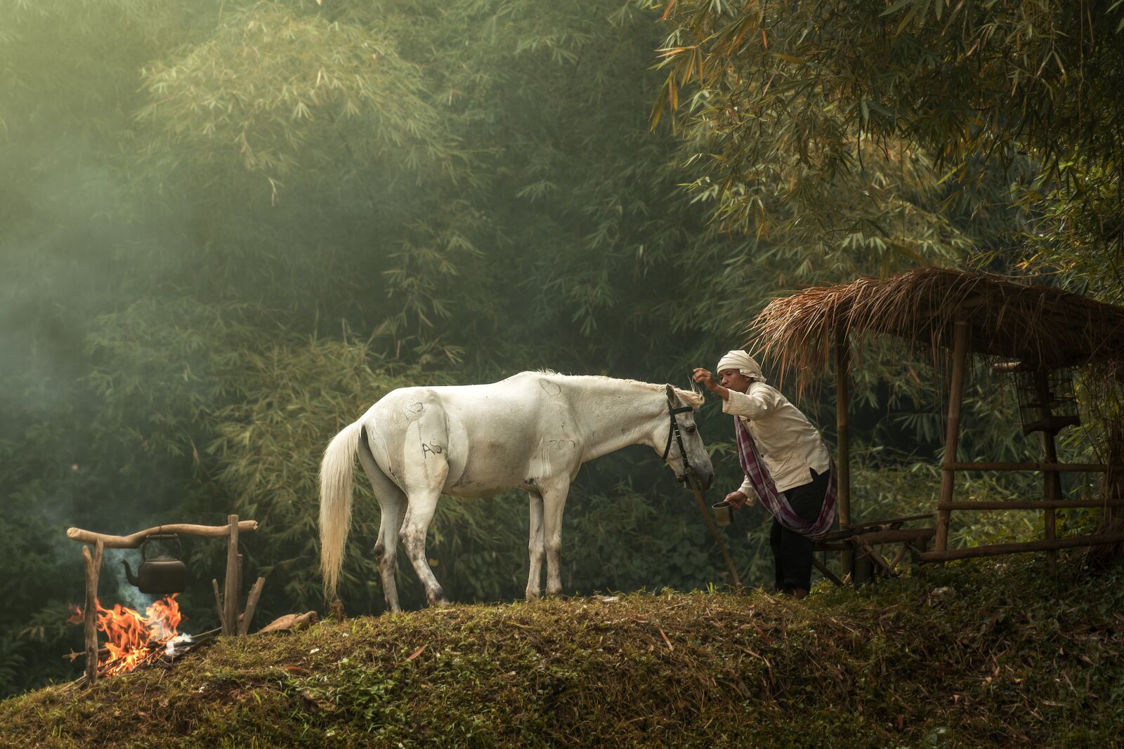 Nikon D750 sample photo. Village, asian, people photography
