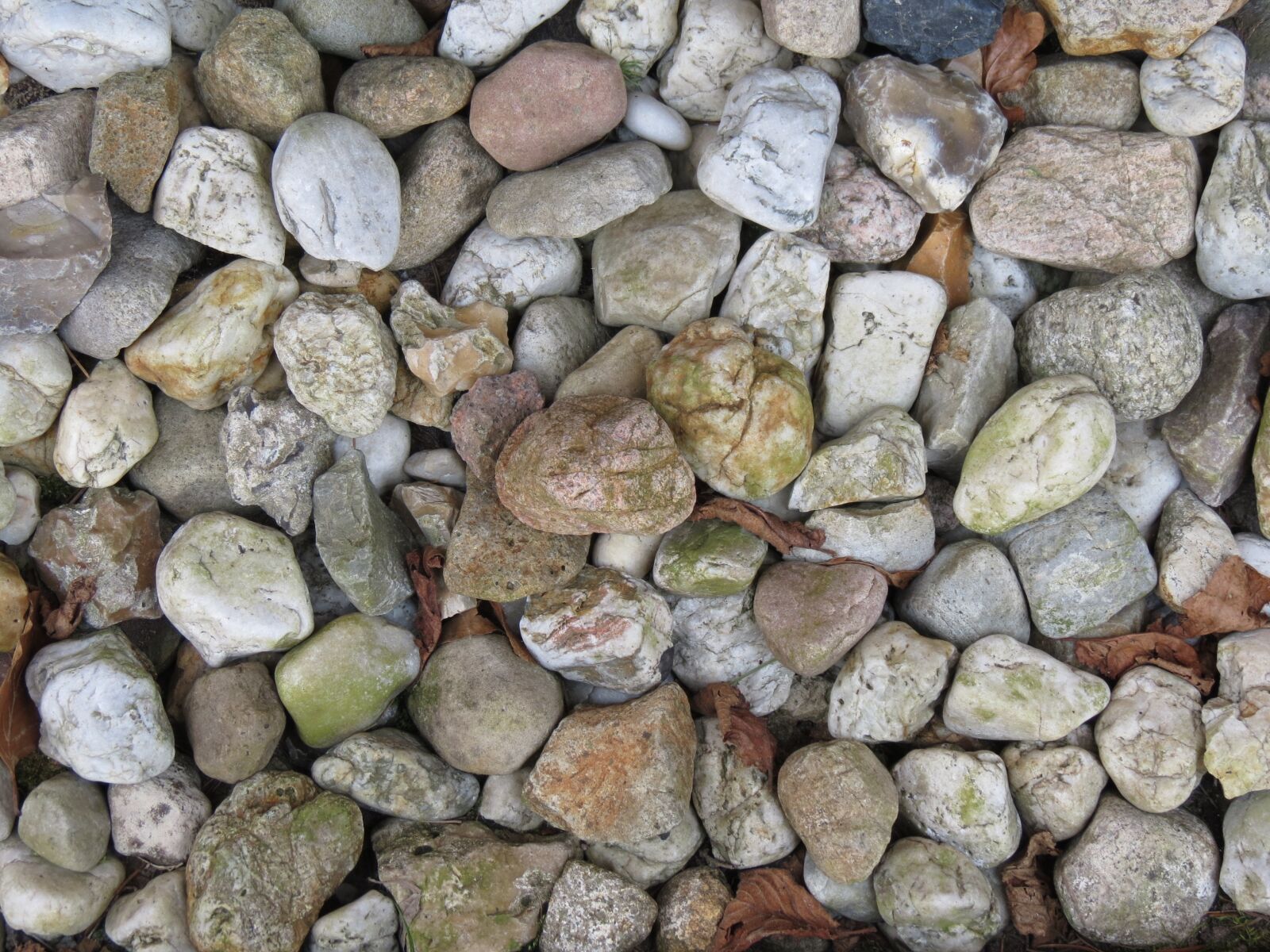 Canon PowerShot SX40 HS sample photo. Stones, bed, grey photography