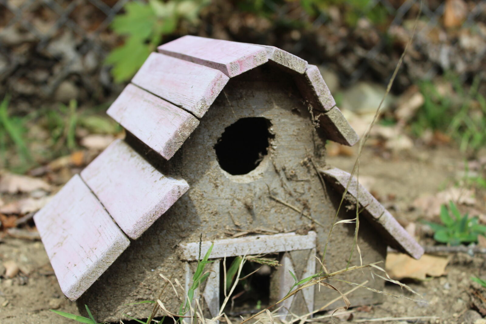 Canon EOS 1200D (EOS Rebel T5 / EOS Kiss X70 / EOS Hi) sample photo. Bird, house, broken, dirty photography