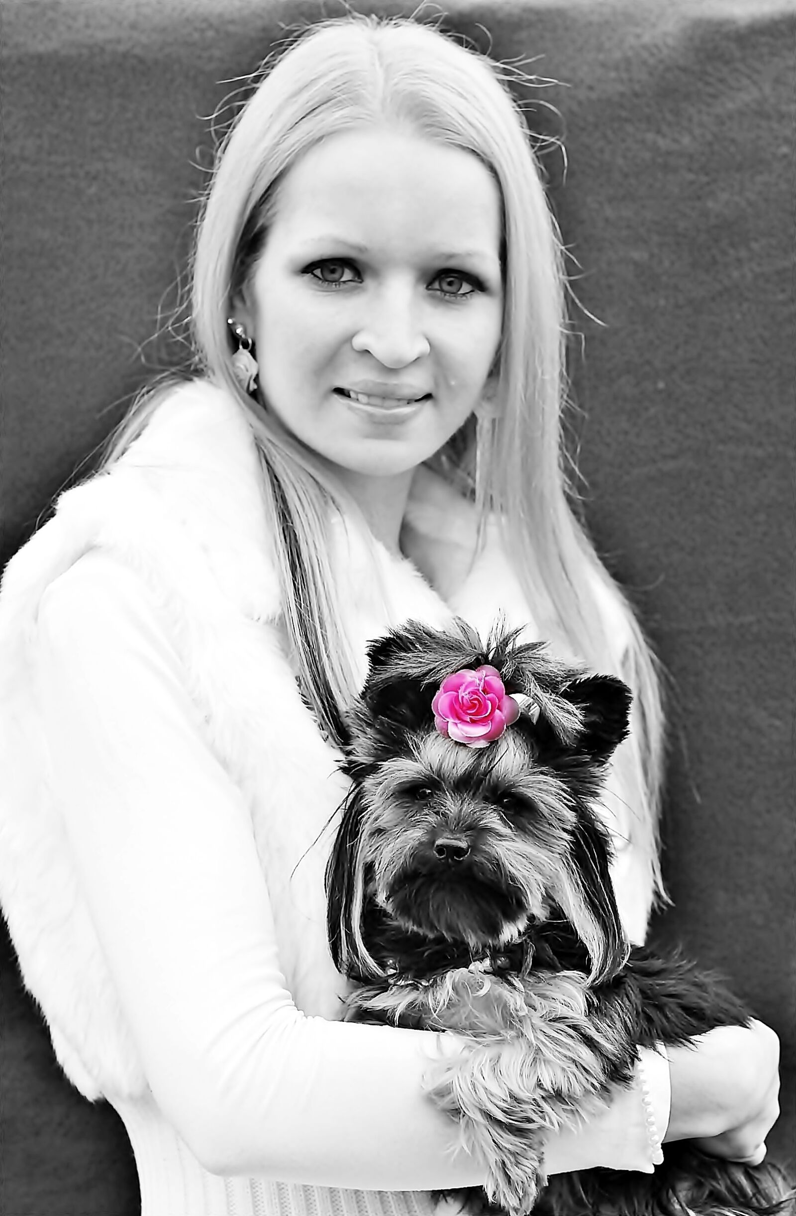 Canon EOS 600D (Rebel EOS T3i / EOS Kiss X5) sample photo. Blonde girl, yorkie, beauty photography