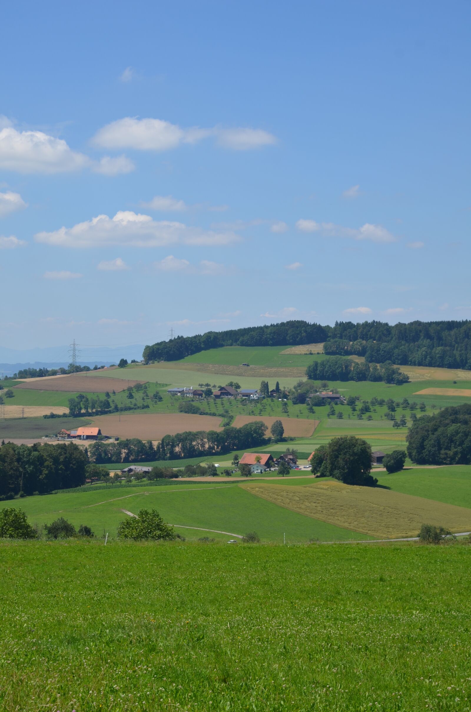 Nikon D7000 sample photo. Michels office, berom nster photography