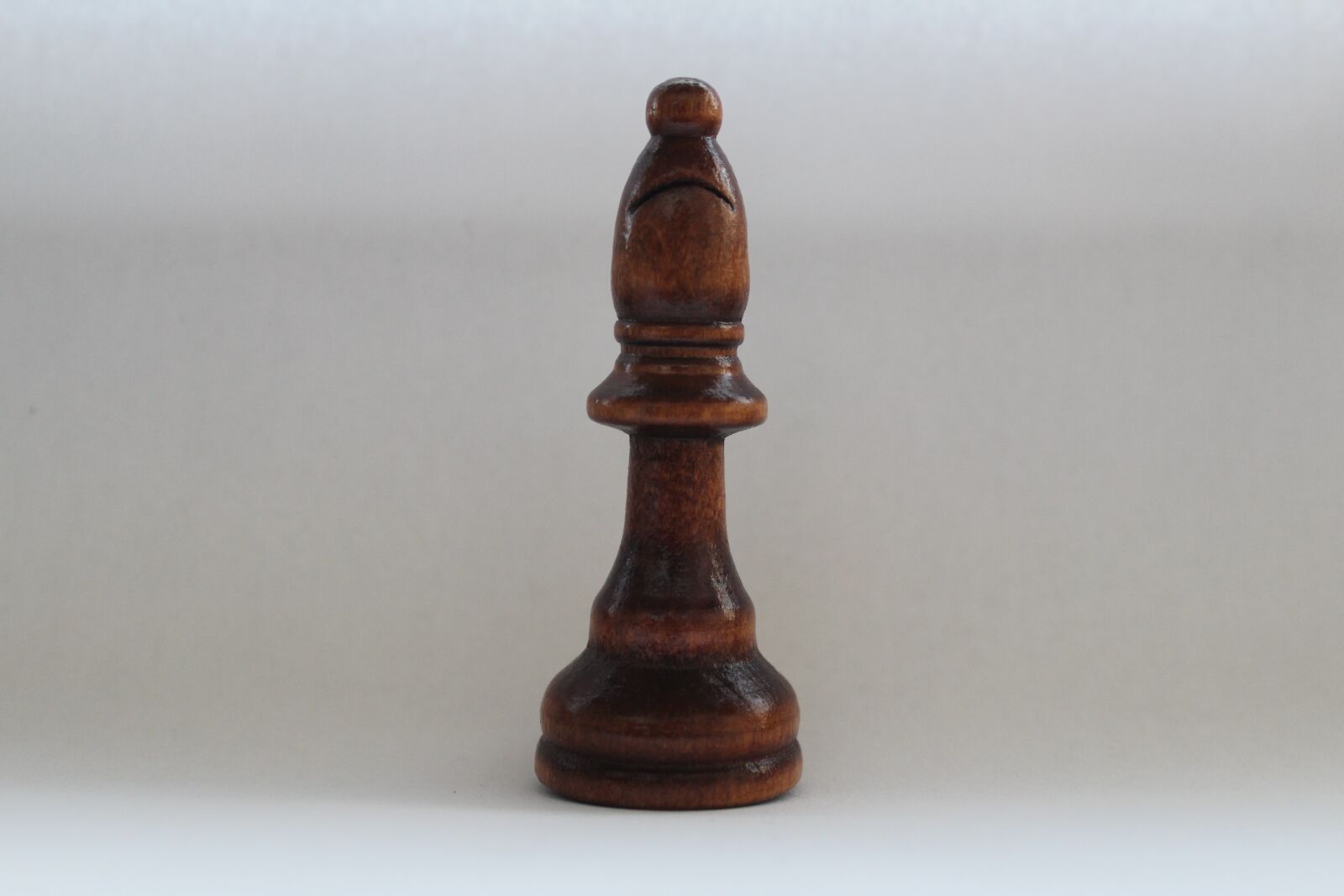 Canon EOS 600D (Rebel EOS T3i / EOS Kiss X5) sample photo. Elephant, bishop, chess photography