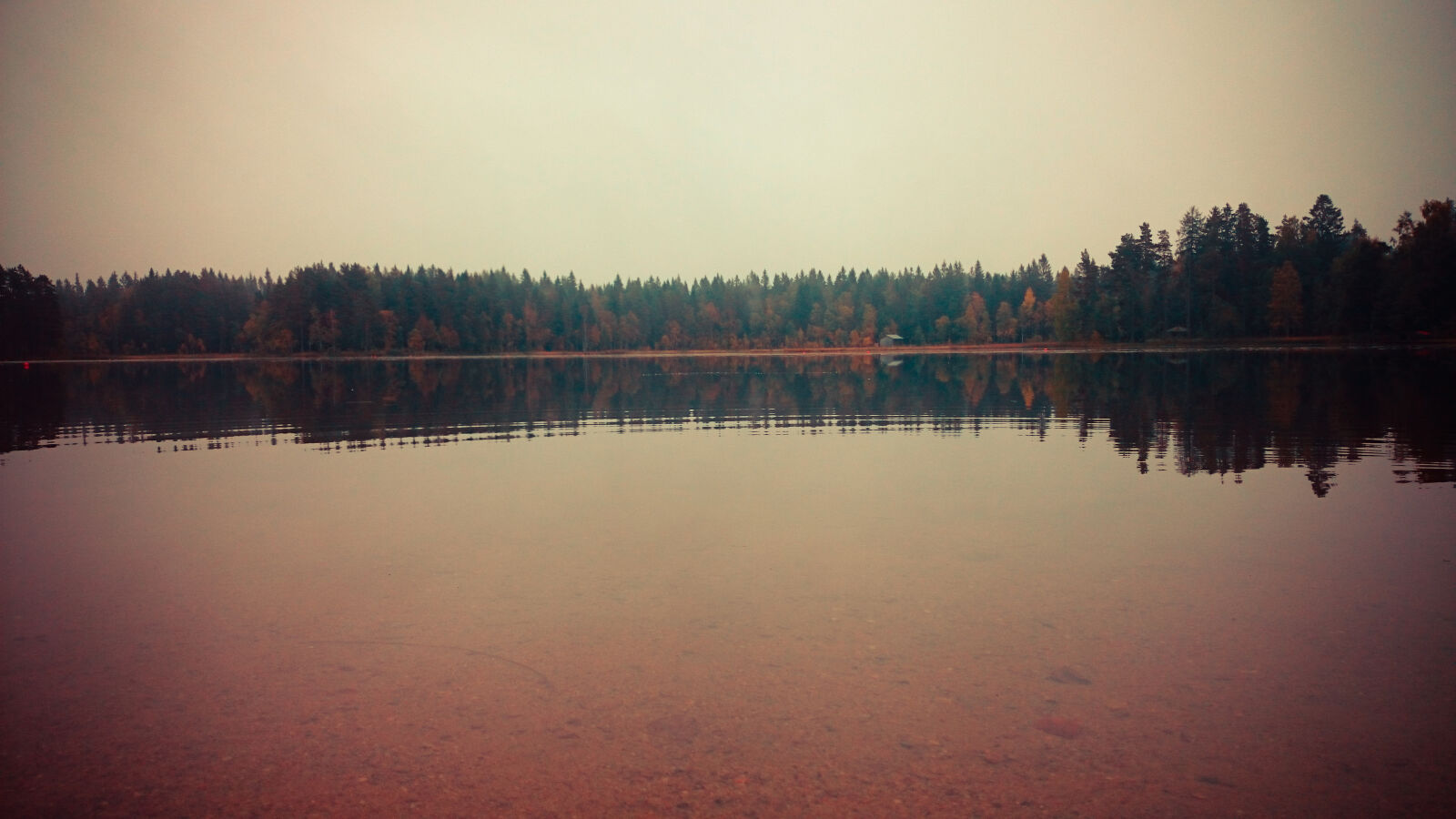 Sony Xperia Z1 sample photo. Nature, reflex photography