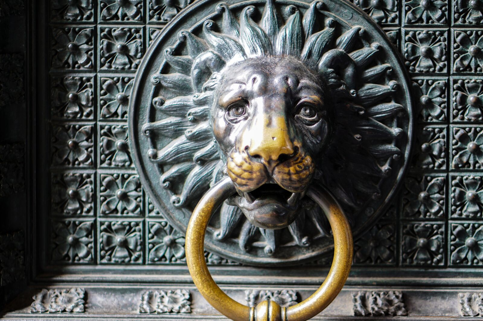 E 50mm F1.8 OSS sample photo. Door, lion head, lion photography