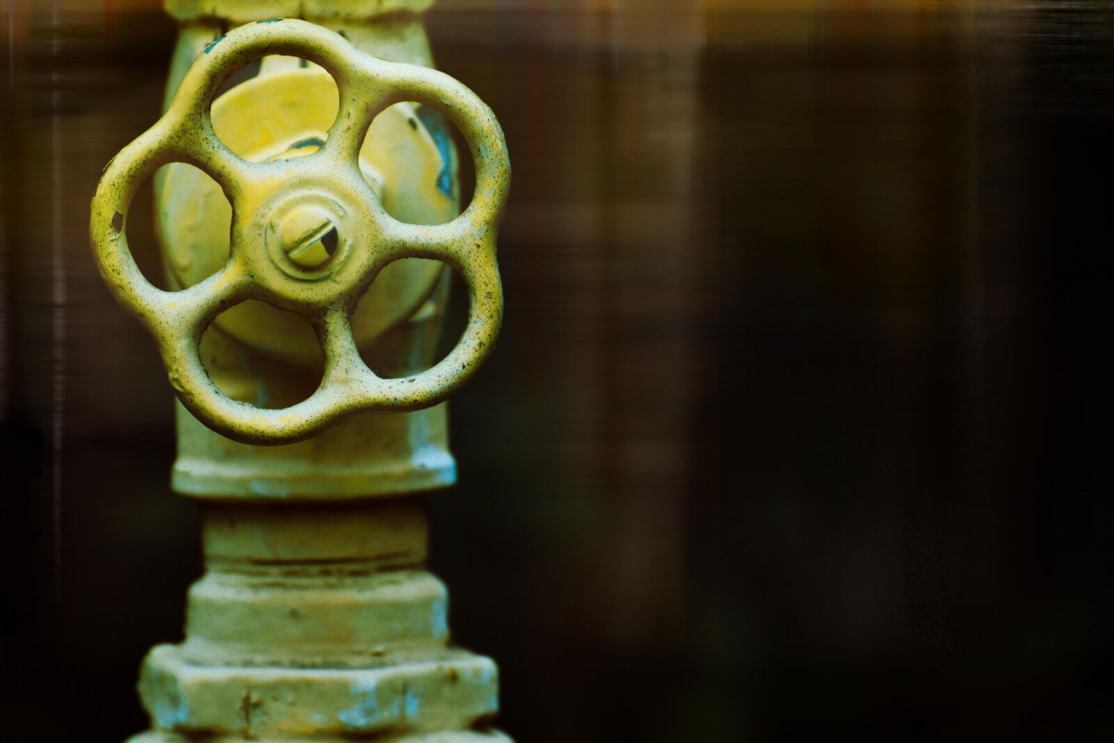 Nikon D7200 sample photo. Transience, decay, water pipe photography