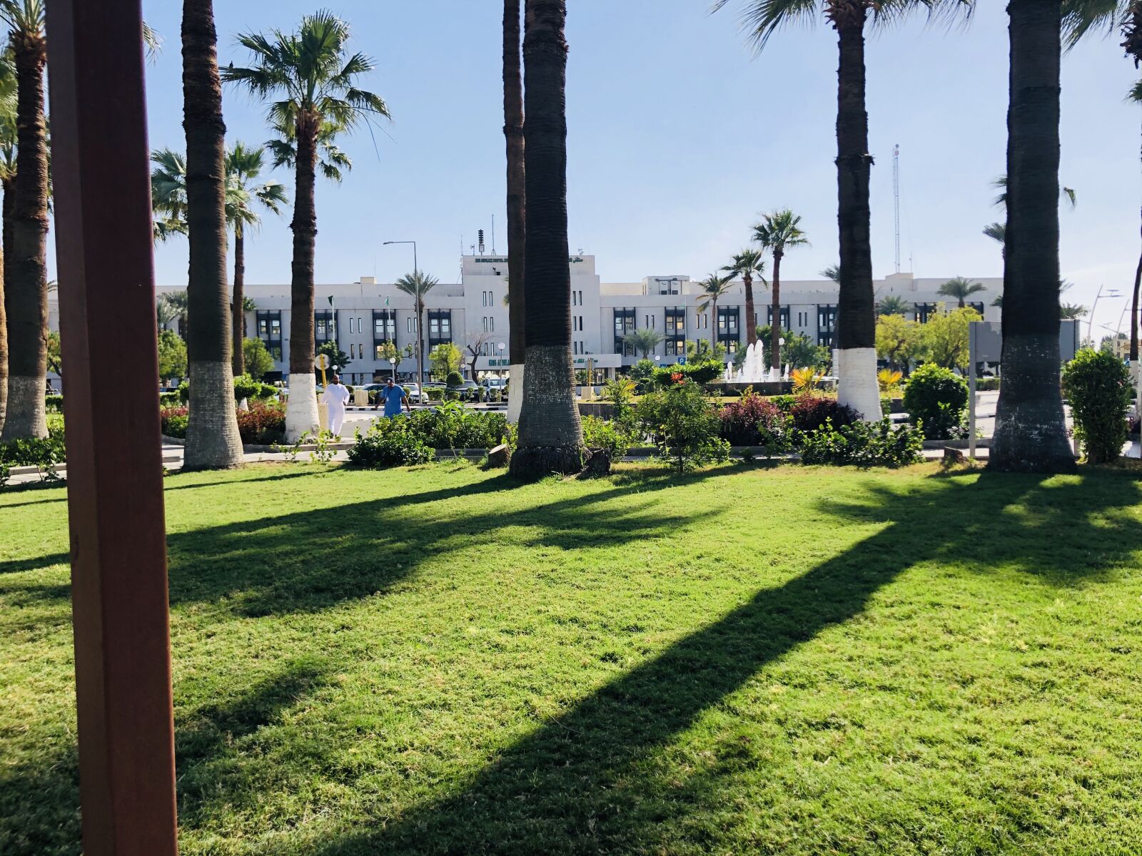 iPhone X back dual camera 4mm f/1.8 sample photo. Jeddah, hospital, beautiful view photography