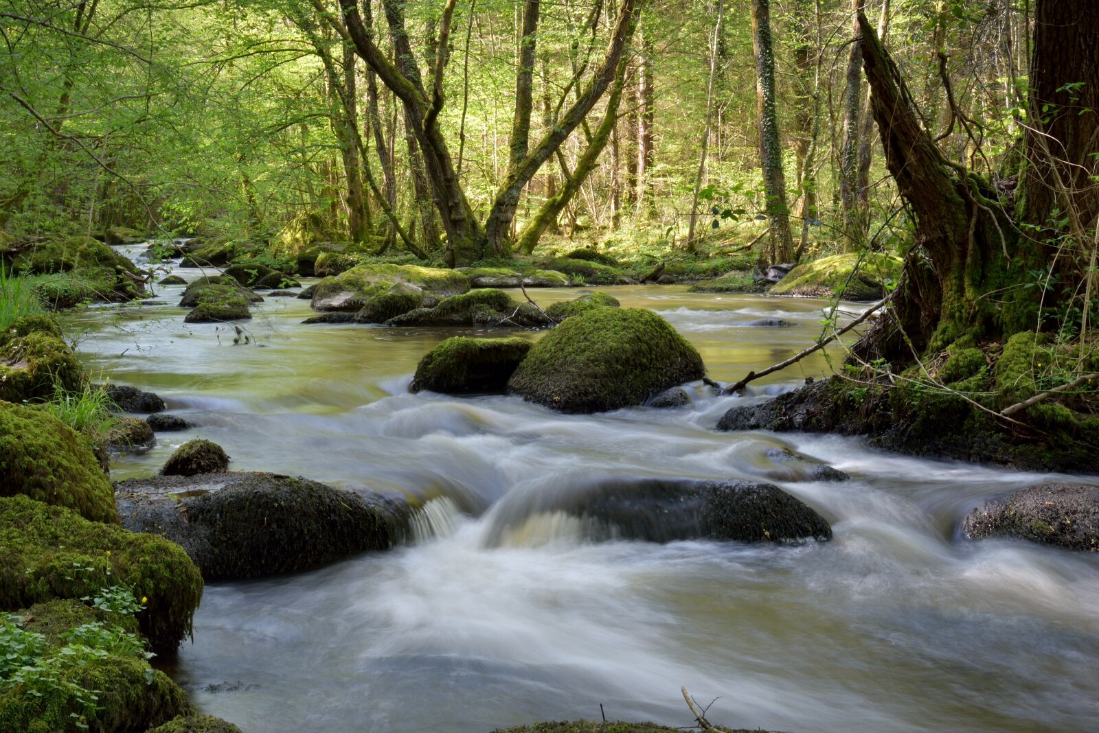 Nikon D750 sample photo. Body of water, river photography