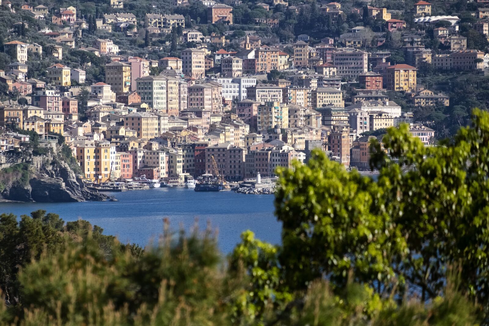 Fujifilm X-E2 + Fujifilm XF 55-200mm F3.5-4.8 R LM OIS sample photo. Camogli, genoa, liguria photography