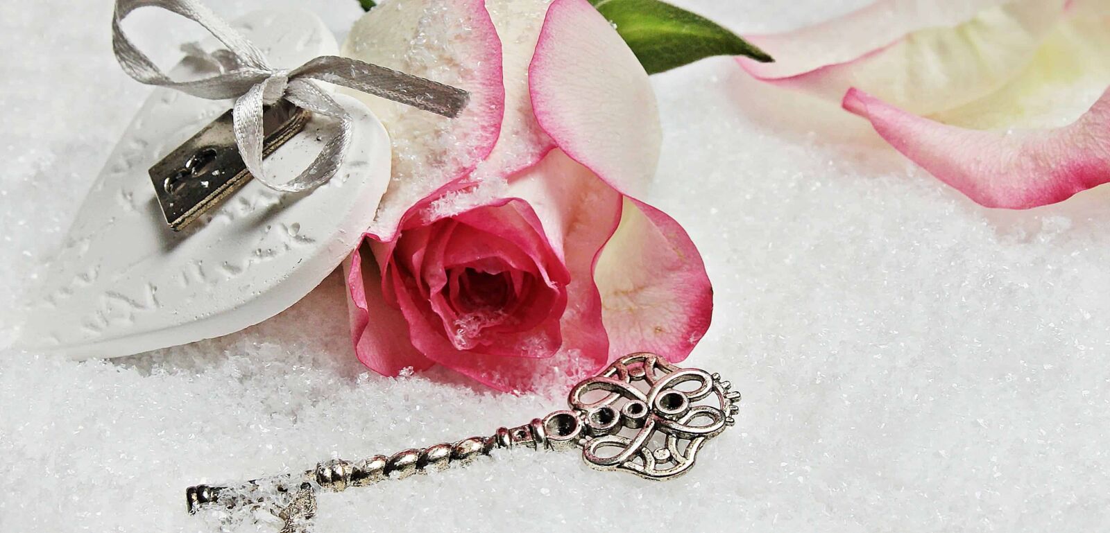 Canon EOS 550D (EOS Rebel T2i / EOS Kiss X4) sample photo. Rose, pink, key, padlock photography