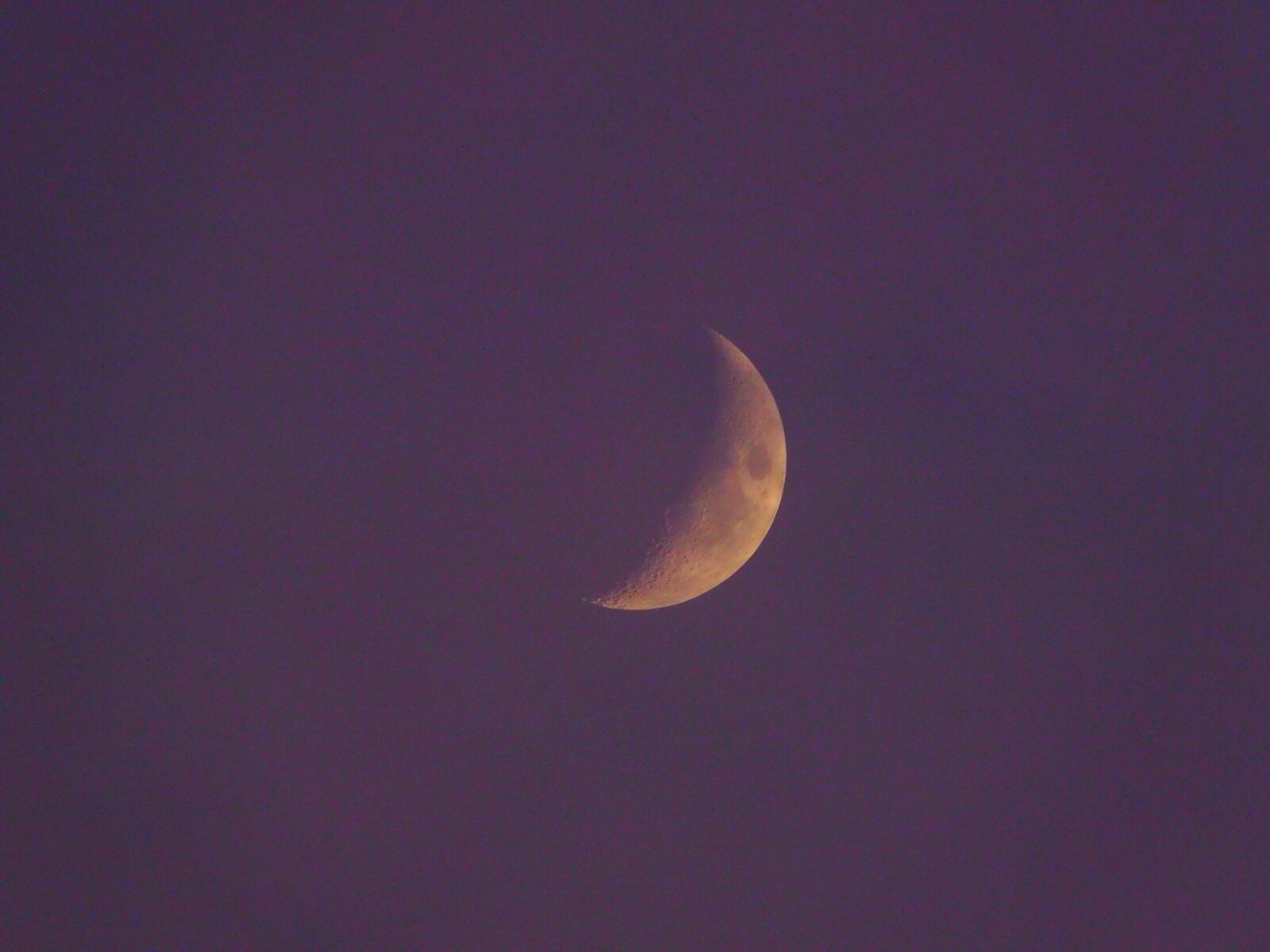 Nikon Coolpix L840 sample photo