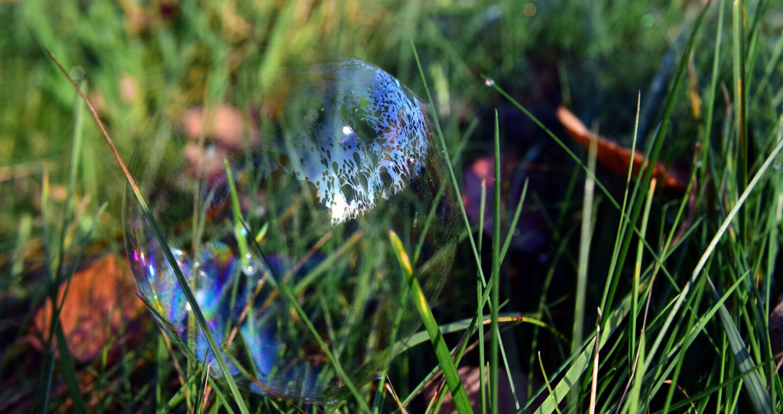 Nikon D3300 sample photo. Soap bubble, meadow, grass photography