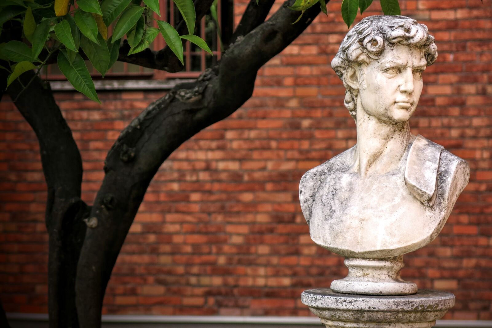 Canon PowerShot G15 sample photo. Loyola university chicago, bust photography