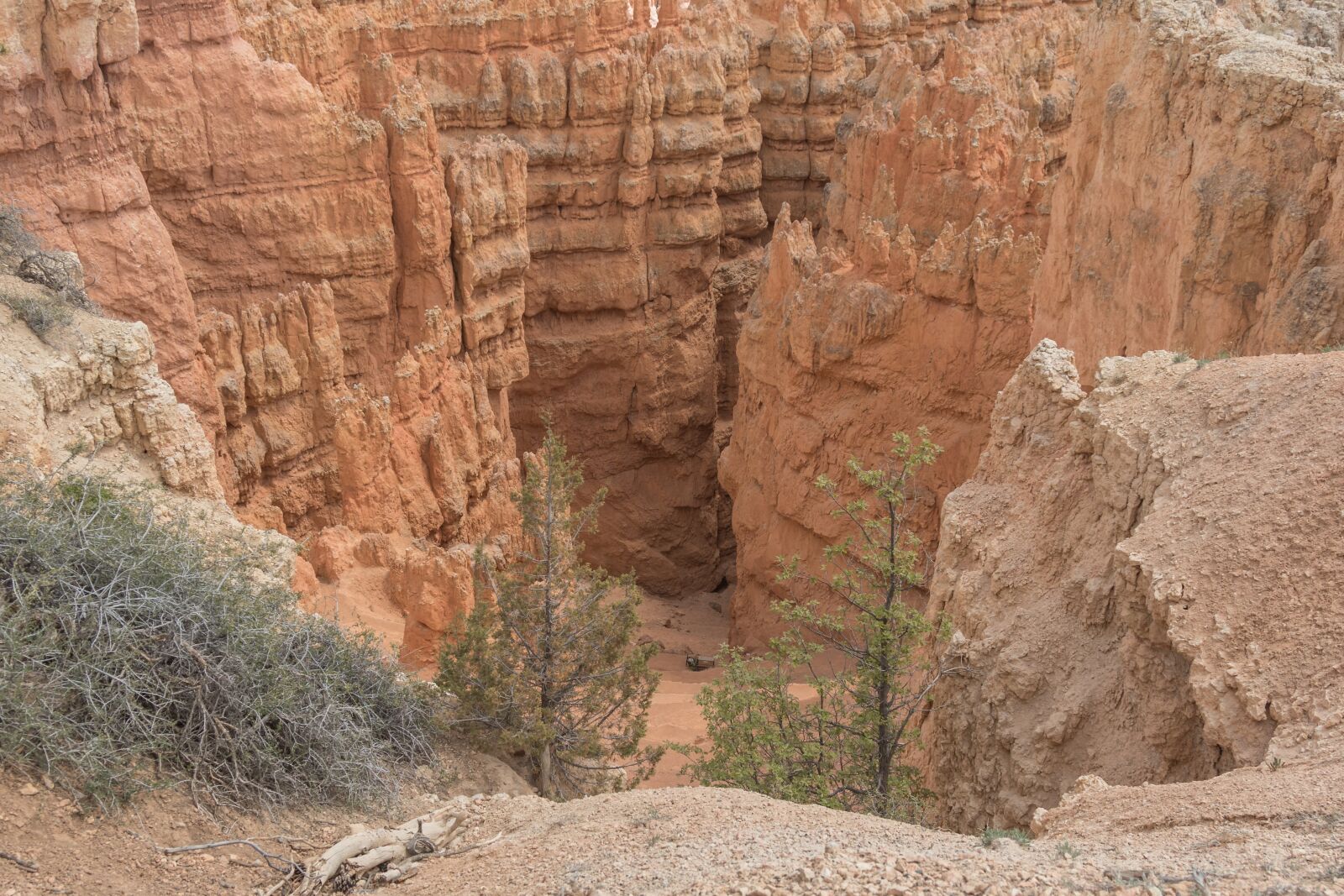 Canon EOS 7D Mark II + Canon EF 24-105mm F4L IS USM sample photo. Bryce, canyon, sandstone photography