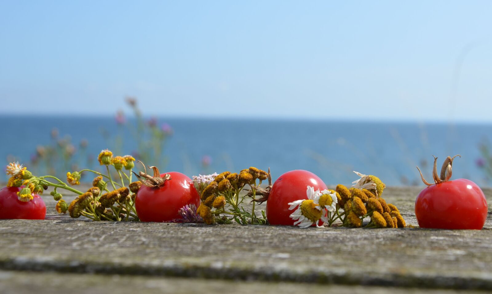 Nikon D5100 sample photo. Tomatoes, flowers, wood photography