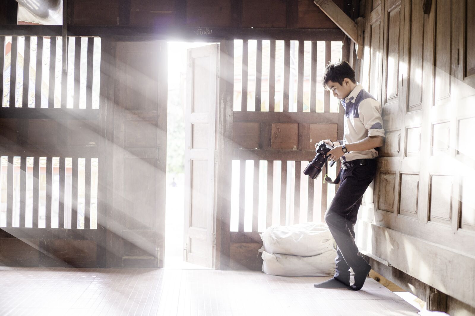 Canon EOS 6D + Canon EF 50mm F1.8 STM sample photo. By nature, component, life photography