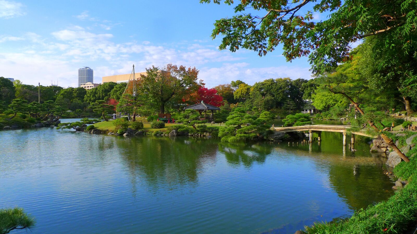 Panasonic Lumix DMC-LX3 sample photo. 清澄庭園, water, japan photography